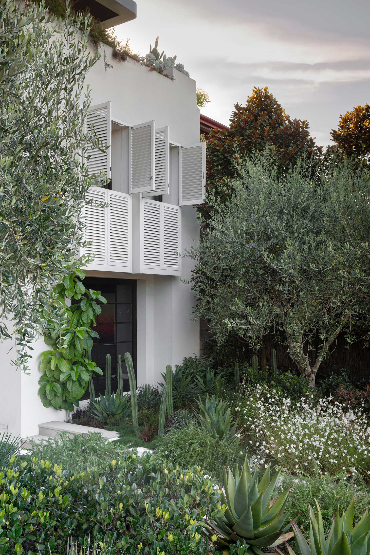 Garden Designer KULGOA 18 01 2023 0078