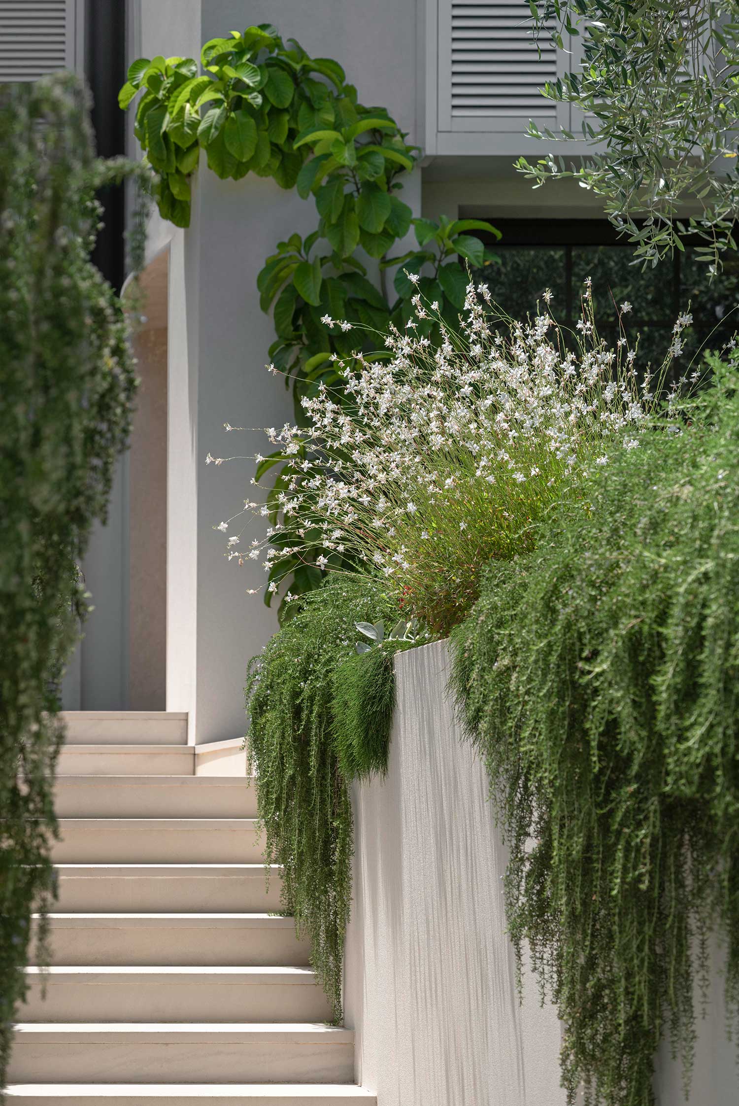 Garden Designer KULGOA 18 01 2023 0573