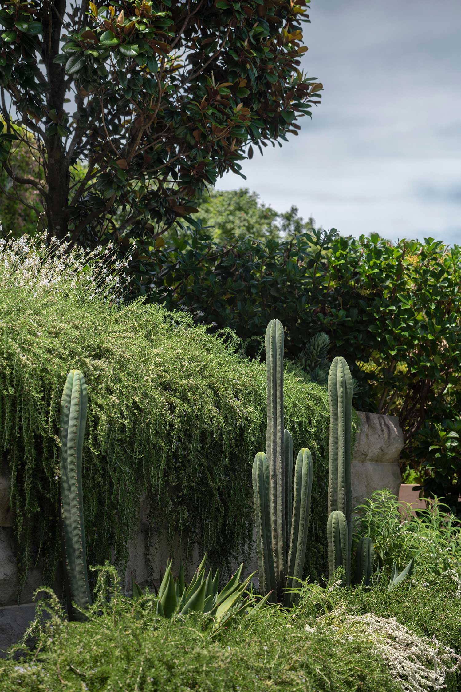 Garden Designer KULGOA 18 01 2023 0589
