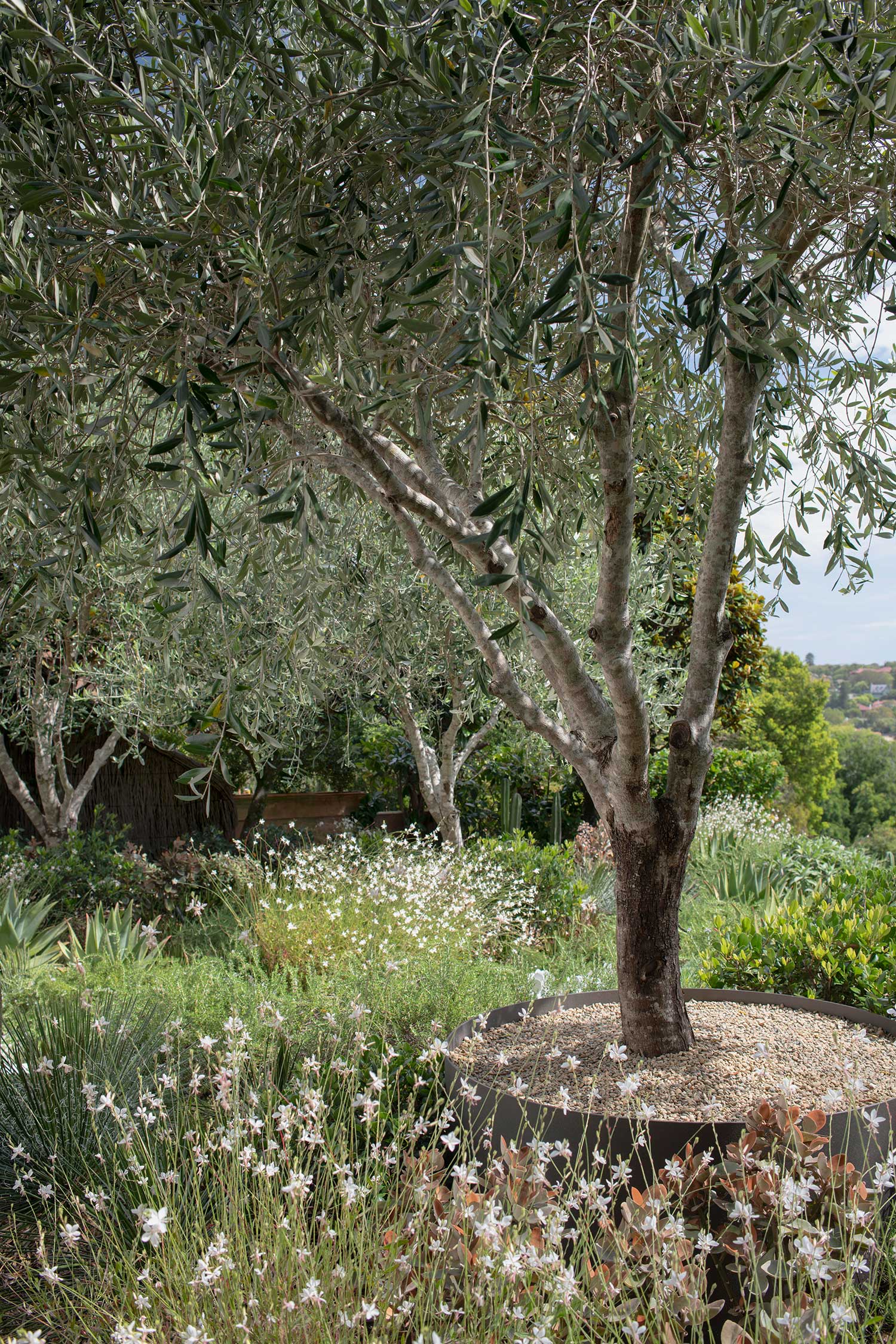 Garden Designer KULGOA 18 01 2023 0836B