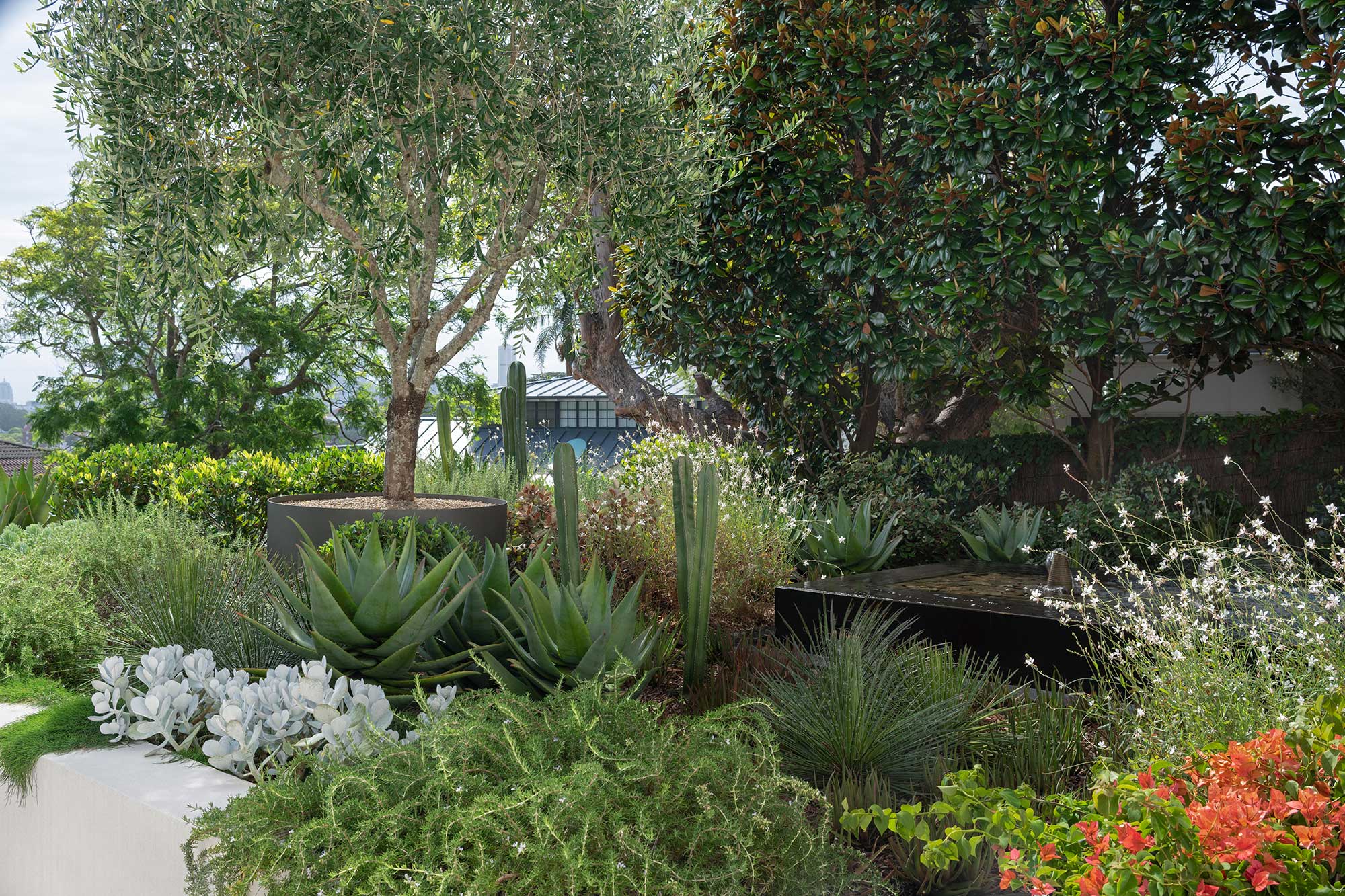 Garden Designer KULGOA 18 01 2023 0948B