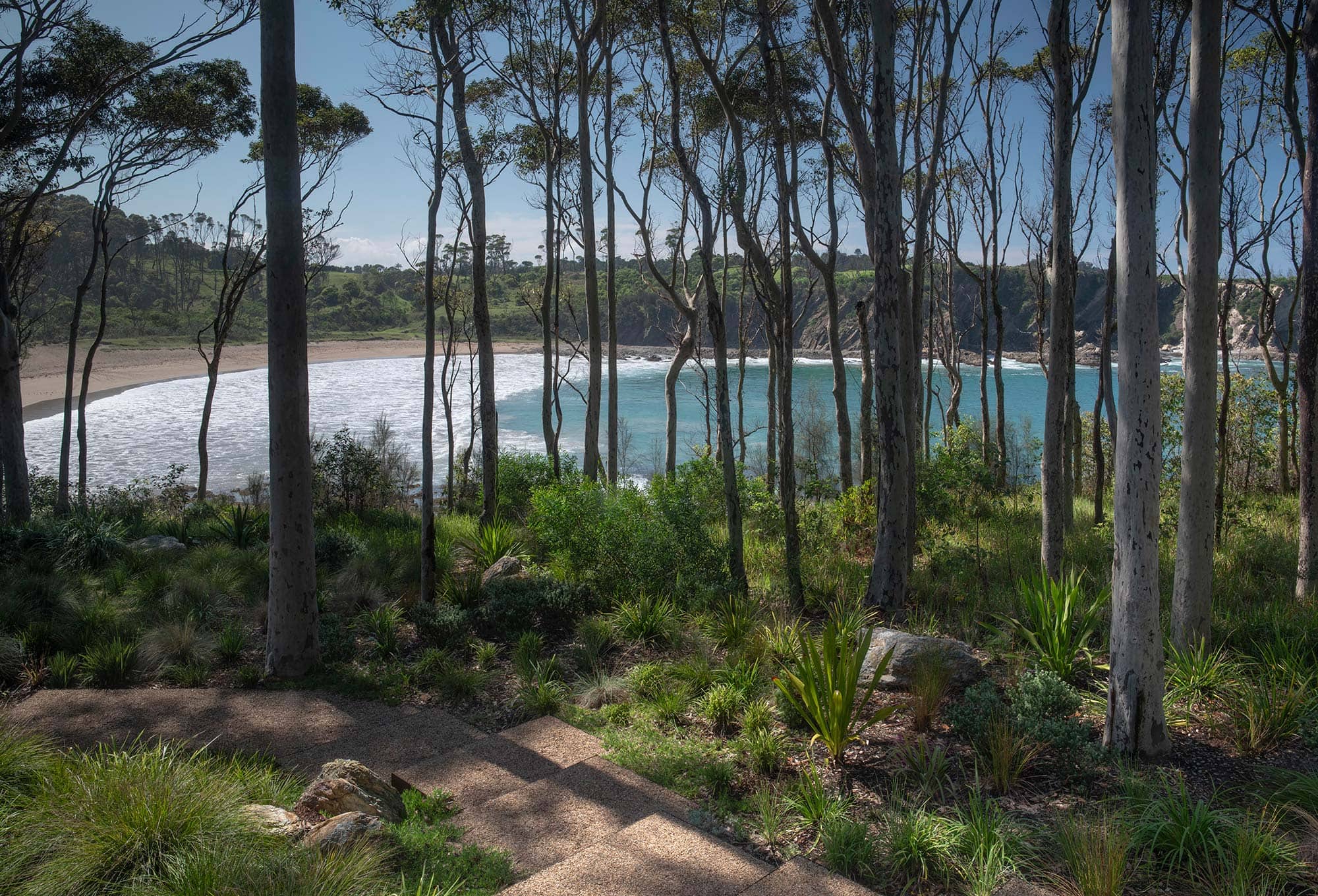 Landscape Architecture BRACKEN 03 2025 0123
