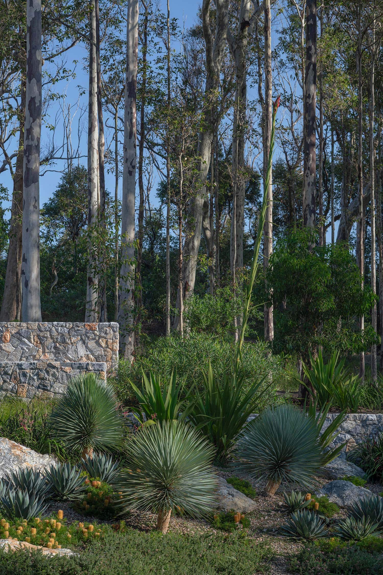 Landscape Architecture BRACKEN 03 2025 0385