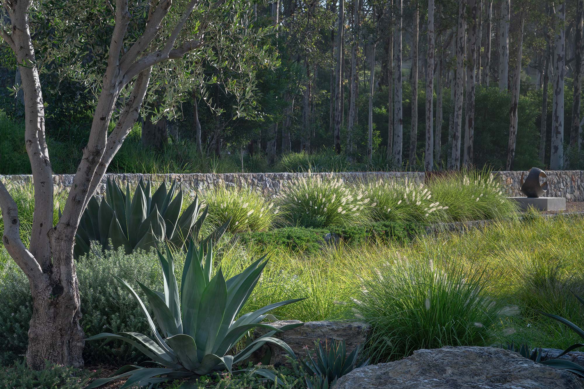 Landscape Architecture BRACKEN 03 2025 0433
