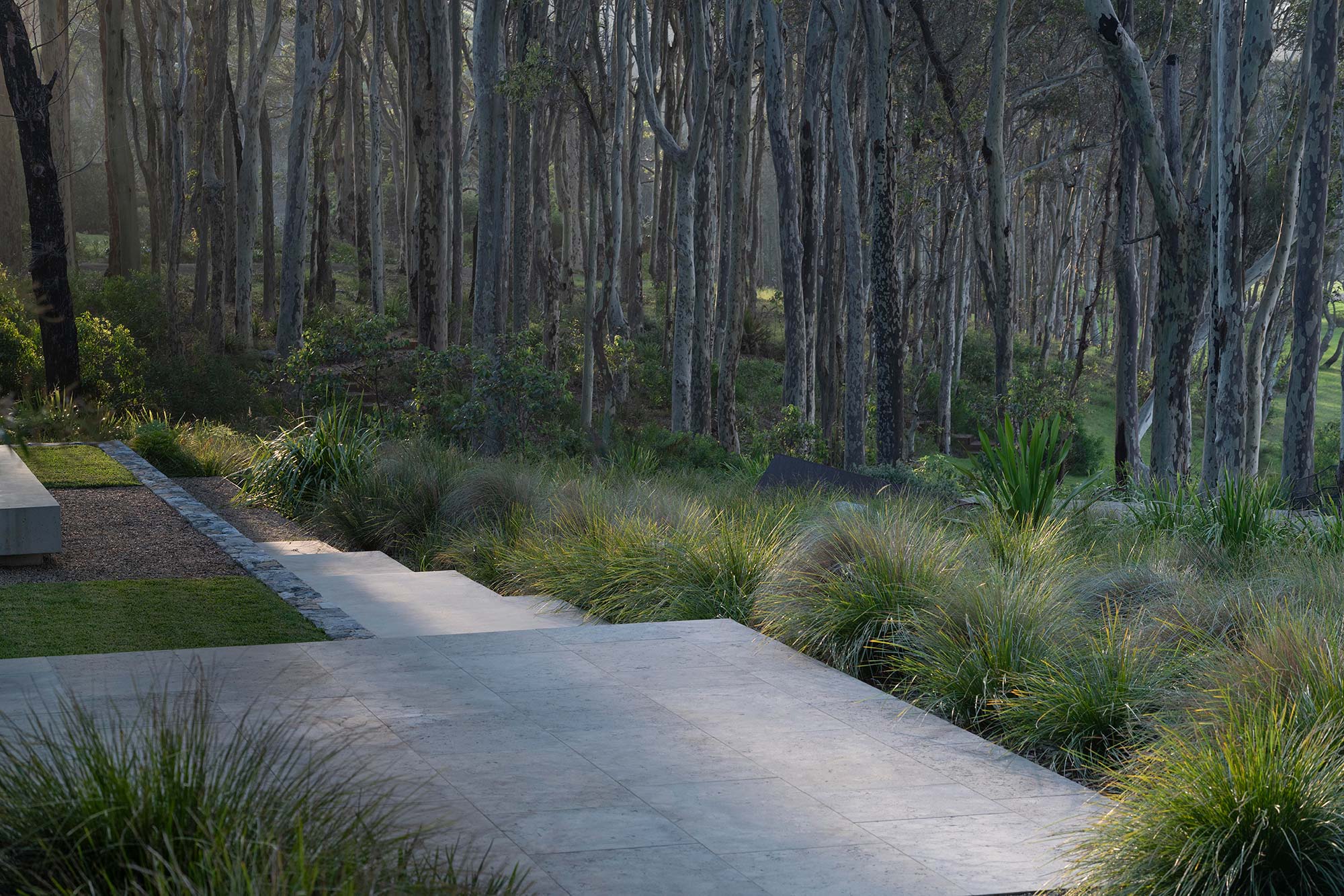 Landscape Architecture BRACKEN 03 2025 0594