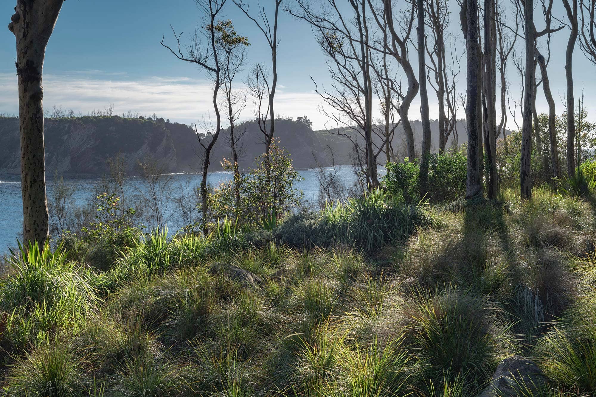 Landscape Architecture BRACKEN 03 2025 0858