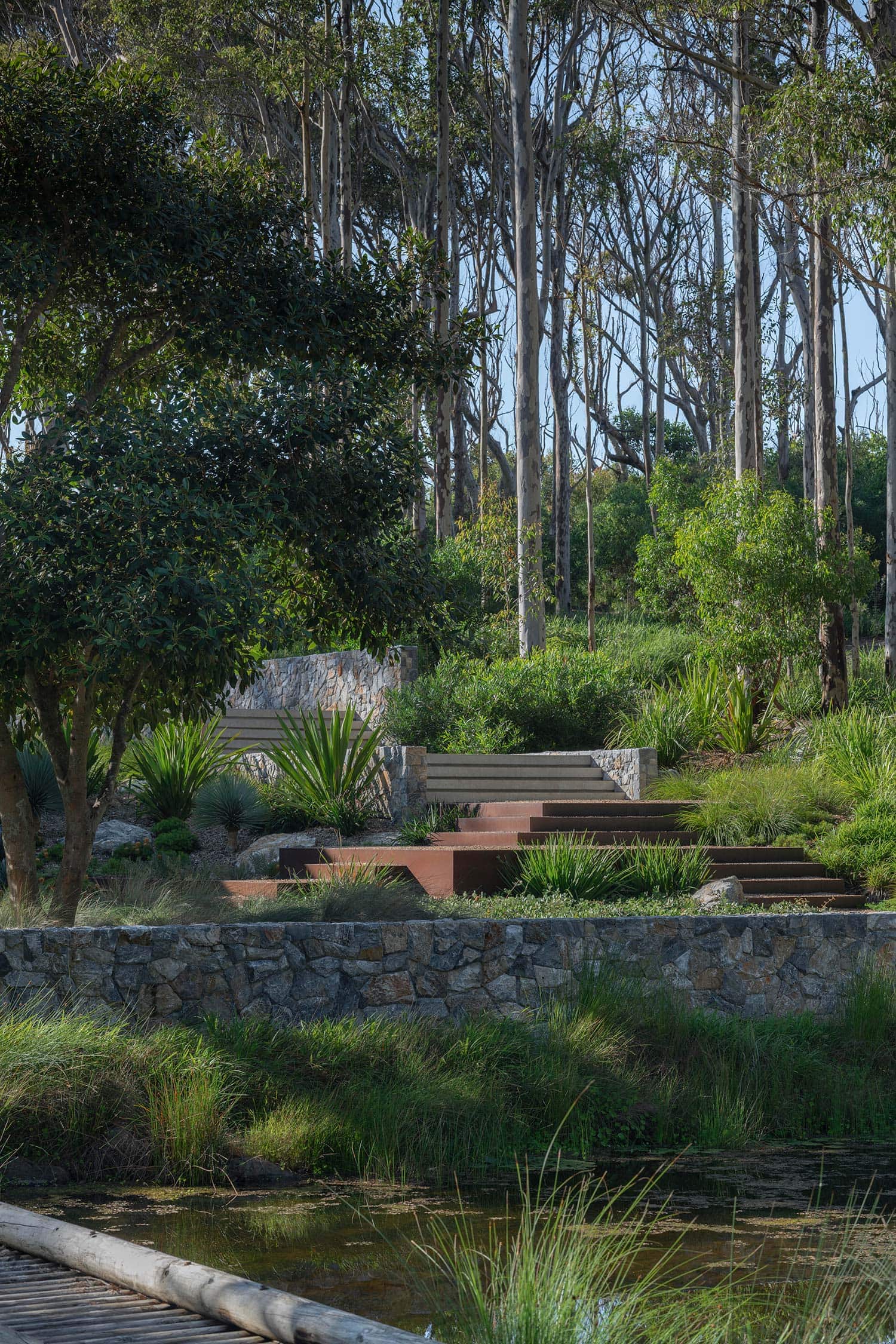 Landscape Architecture BRACKEN 03 2025 0984