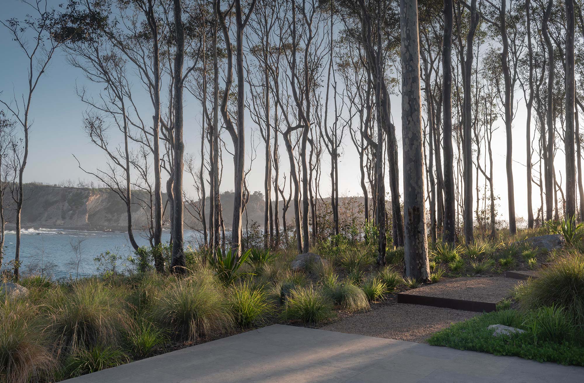 Landscape Architecture BRACKEN 18 12 2023 0039B