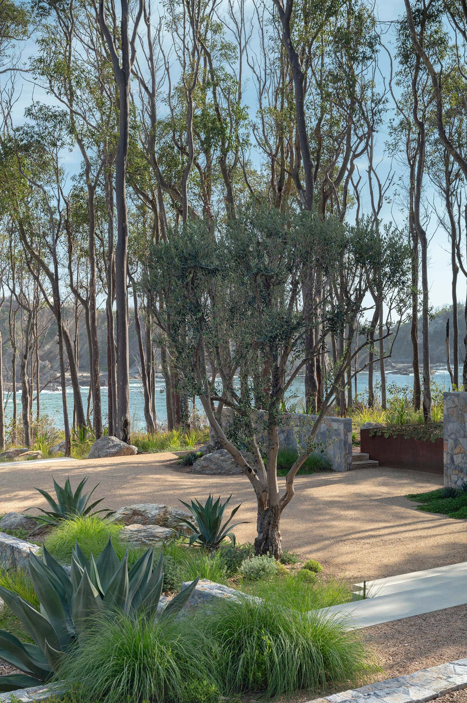 Landscape Architecture BRACKEN 18 12 2023 0476B