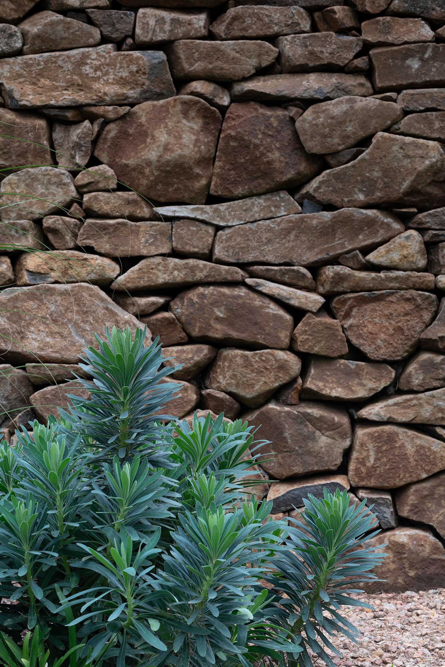 Garden Design KANGALOON 03 2023 701