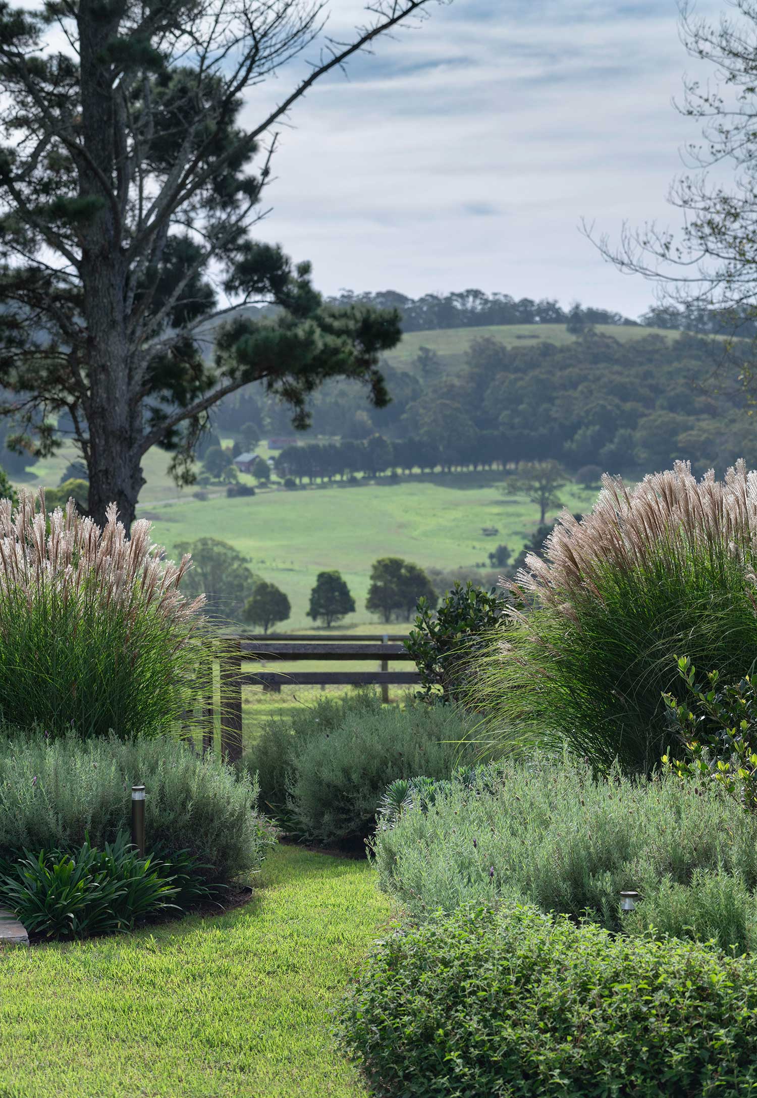 Garden Design KANGALOON 11 03 2024 0287