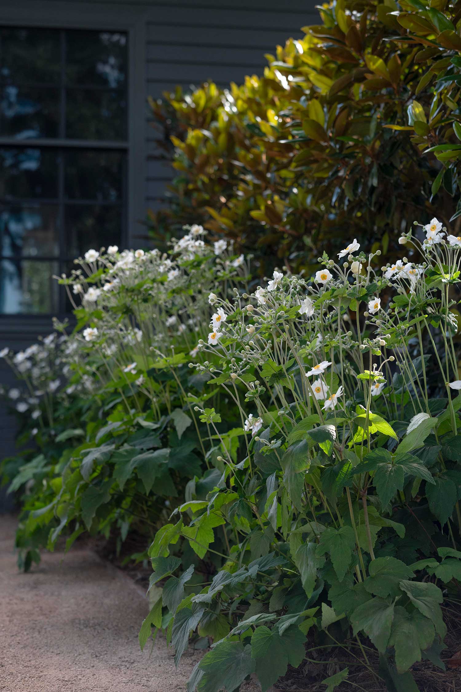 Garden Design KANGALOON 11 03 2024 1156