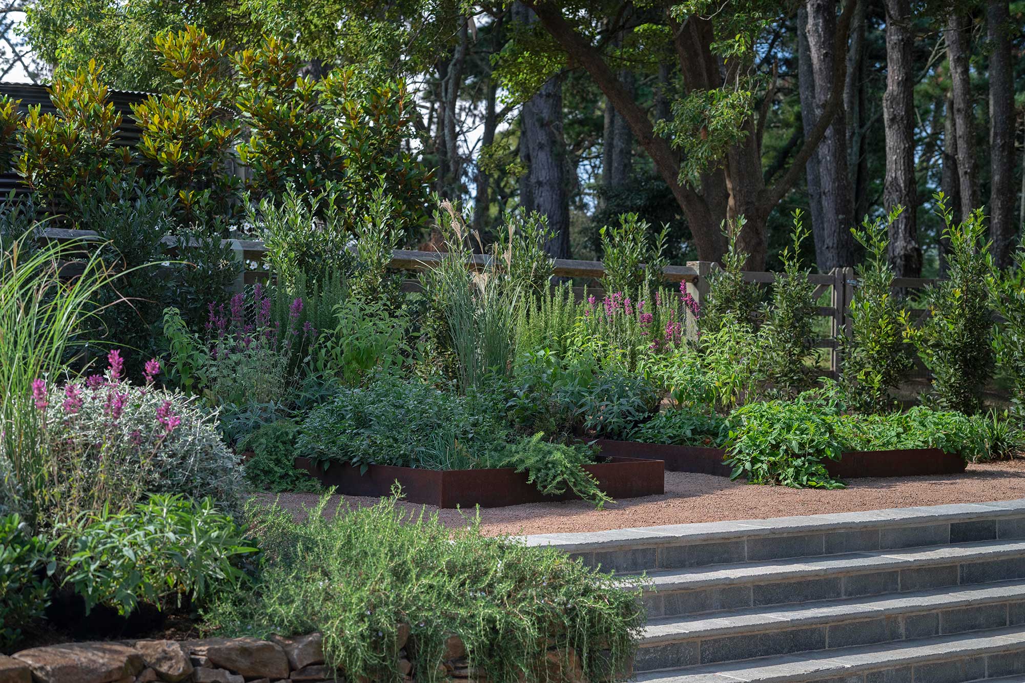 Garden Design KANGALOON 11 03 2024 1195