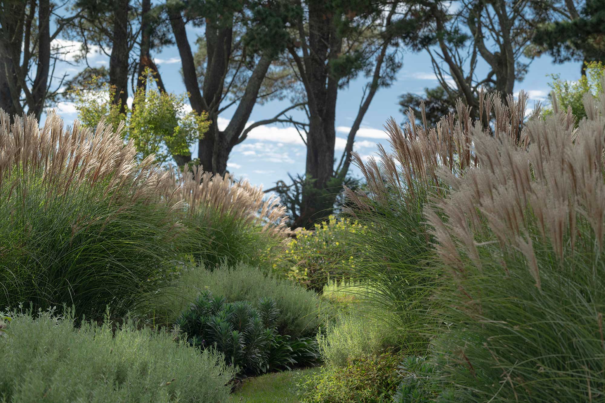 Garden Design KANGALOON 11 03 2024 1219