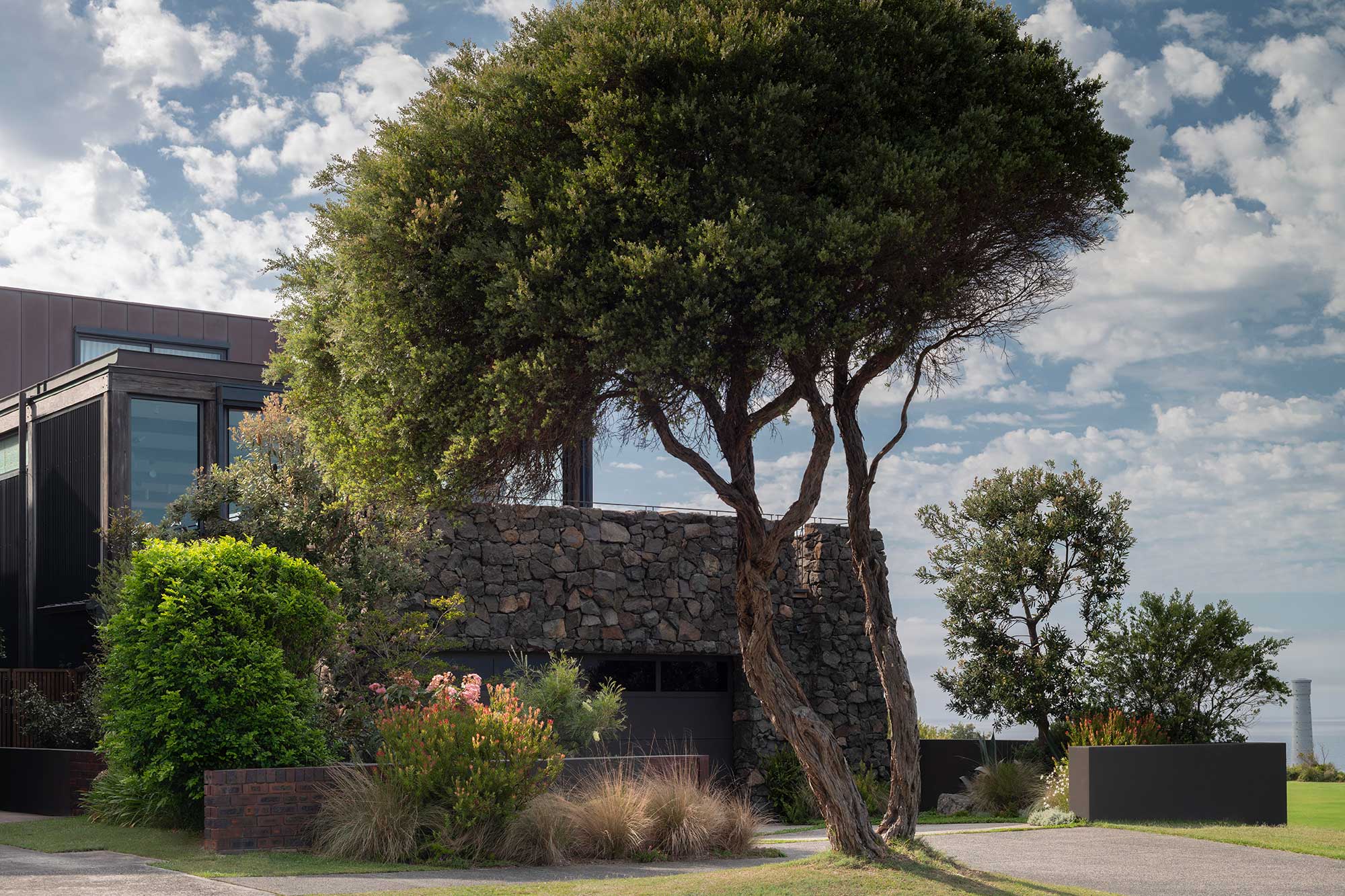 Landscape Architect 50 WENTWORTH 27 02 2025 049