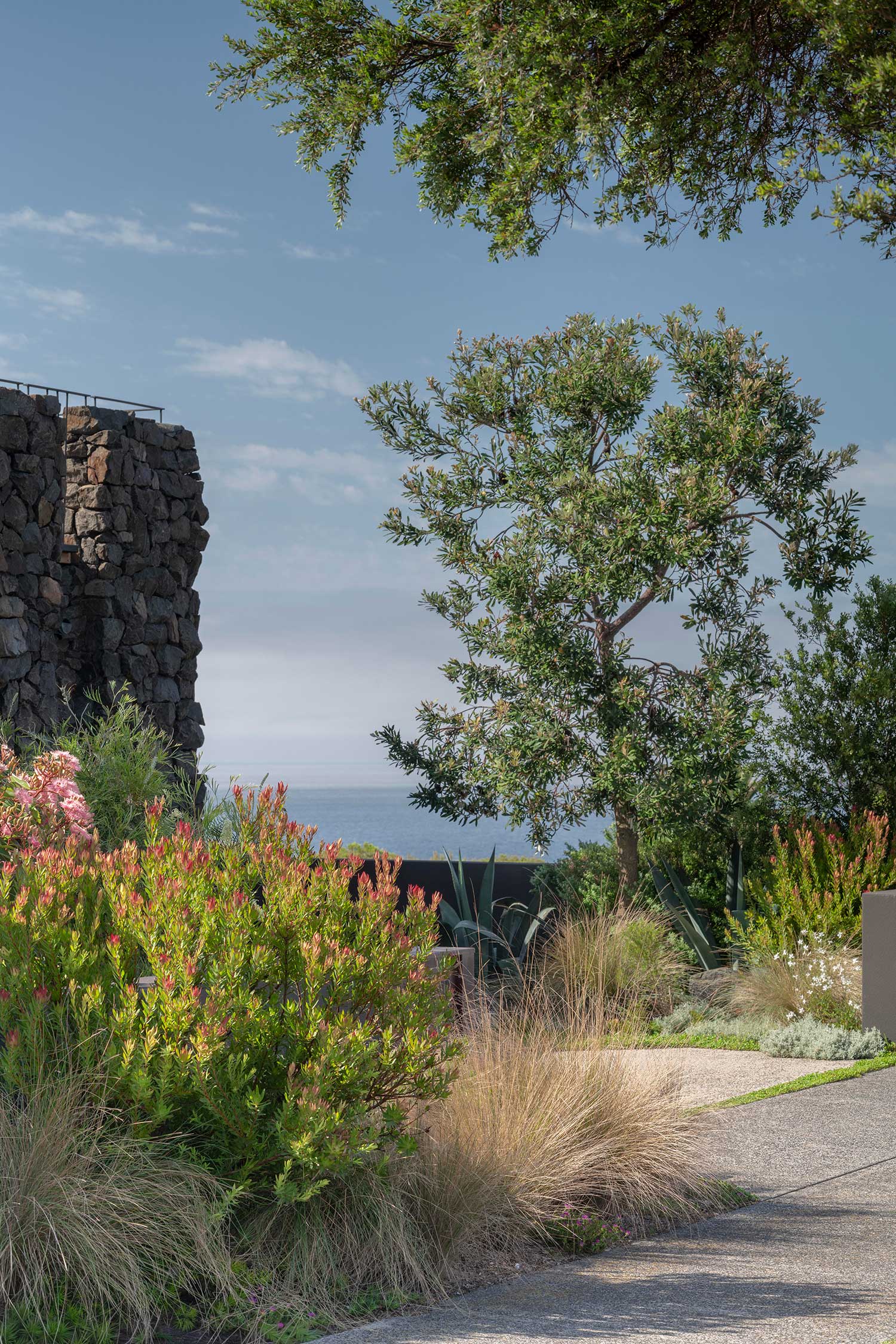 Landscape Architect 50 WENTWORTH 27 02 2025 112