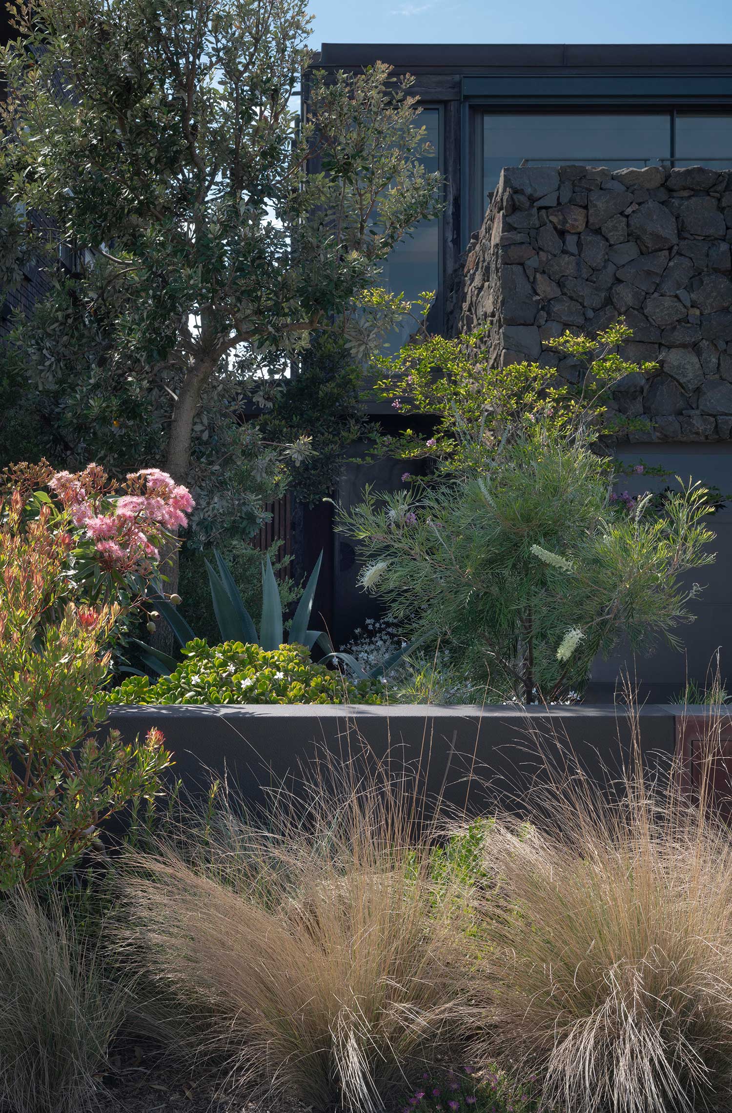 Landscape Architect 50 WENTWORTH 27 02 2025 184