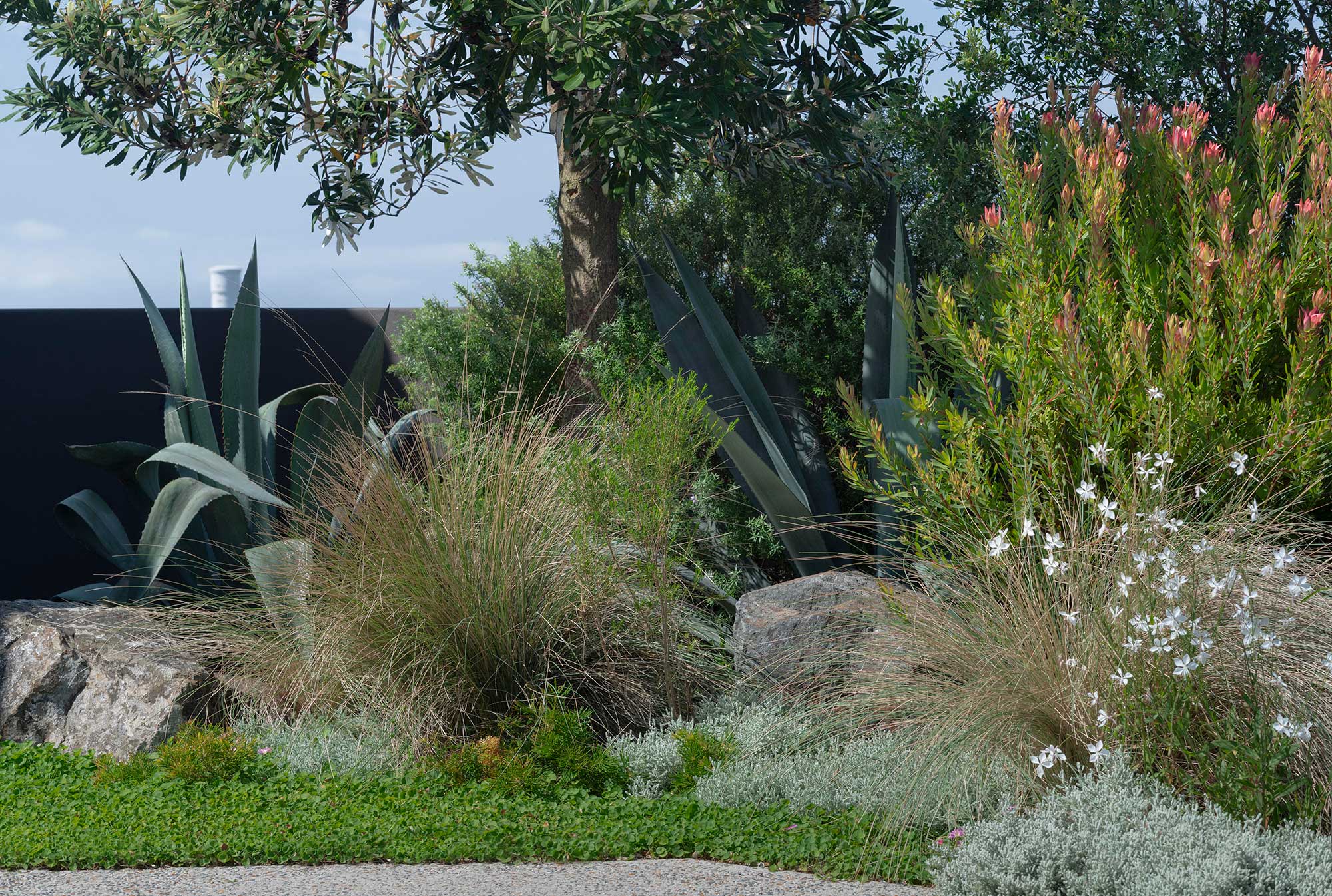 Landscape Architect 50 WENTWORTH 27 02 2025 249