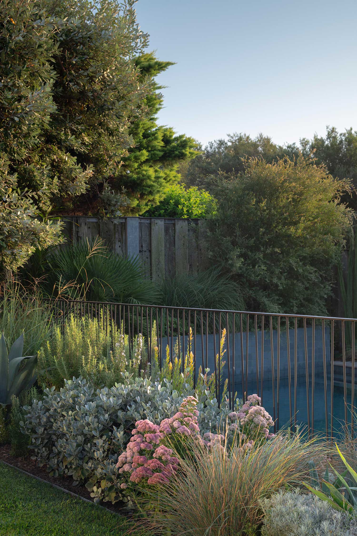 Landscape Architect DOVER HEIGHTS 07 03 2024 0113