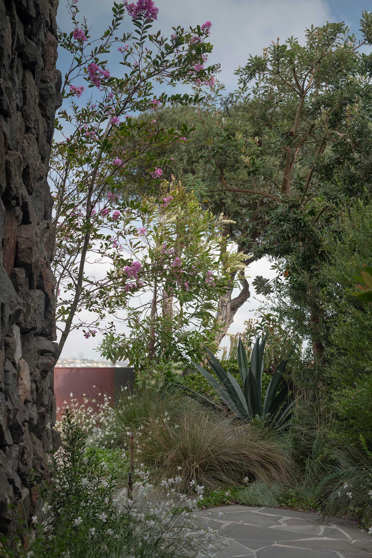 Landscape Architect DOVER HEIGHTS 07 03 2024 0429