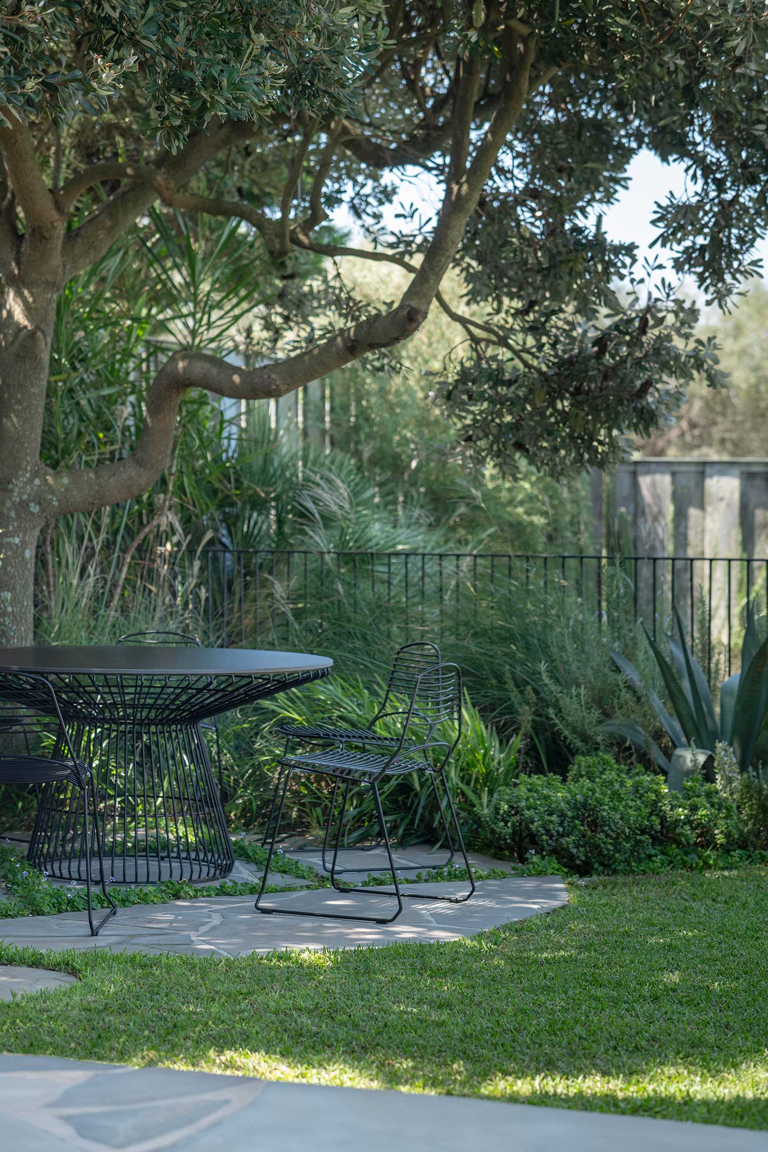 Landscape Architect DOVER HEIGHTS 07 03 2024 0896