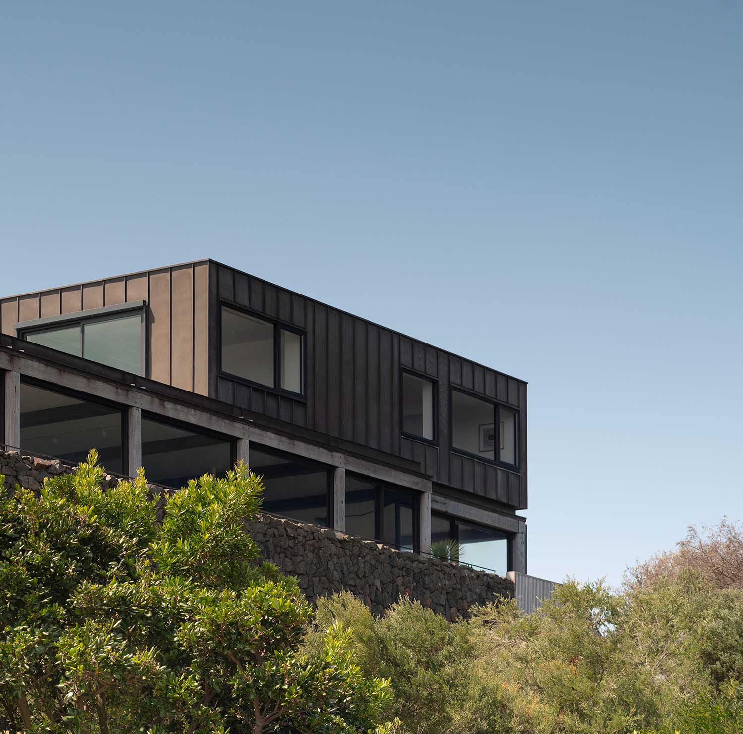 Landscape Architect DOVER HEIGHTS 07 03 2024 0998