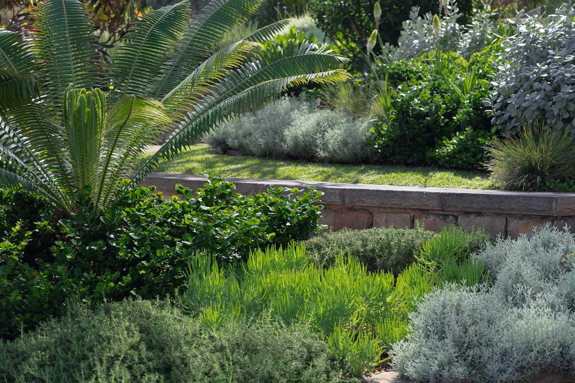 Landscape Design MANLY 20 11 2024 274