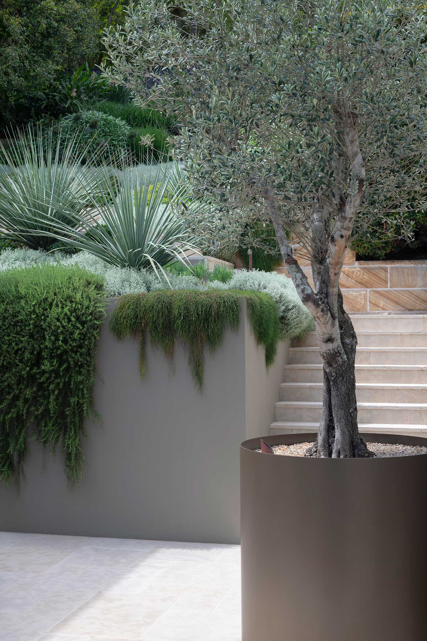 Landscape Design MANLY 20 11 2024 371