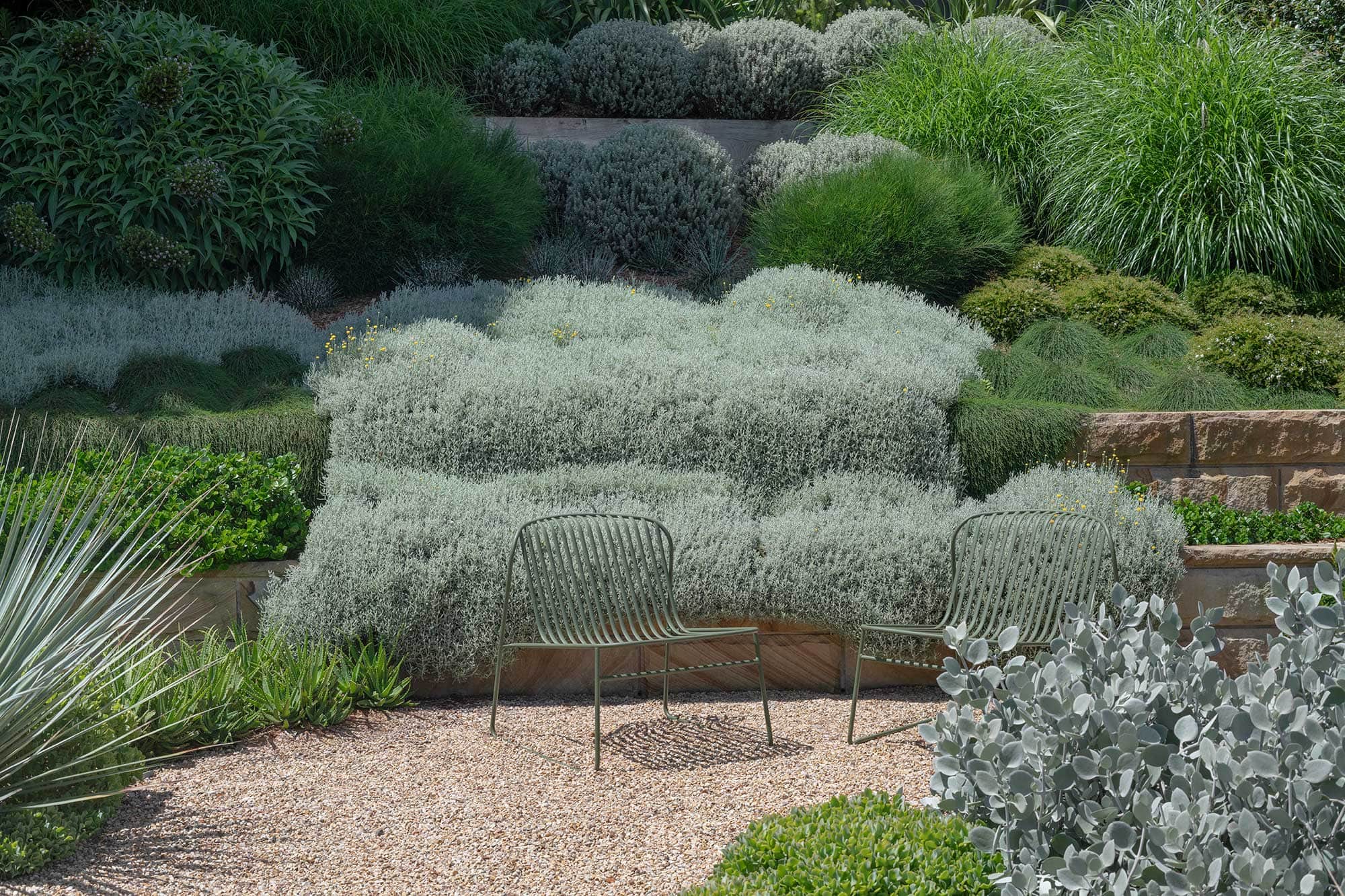 Landscape Design MANLY 20 11 2024 408