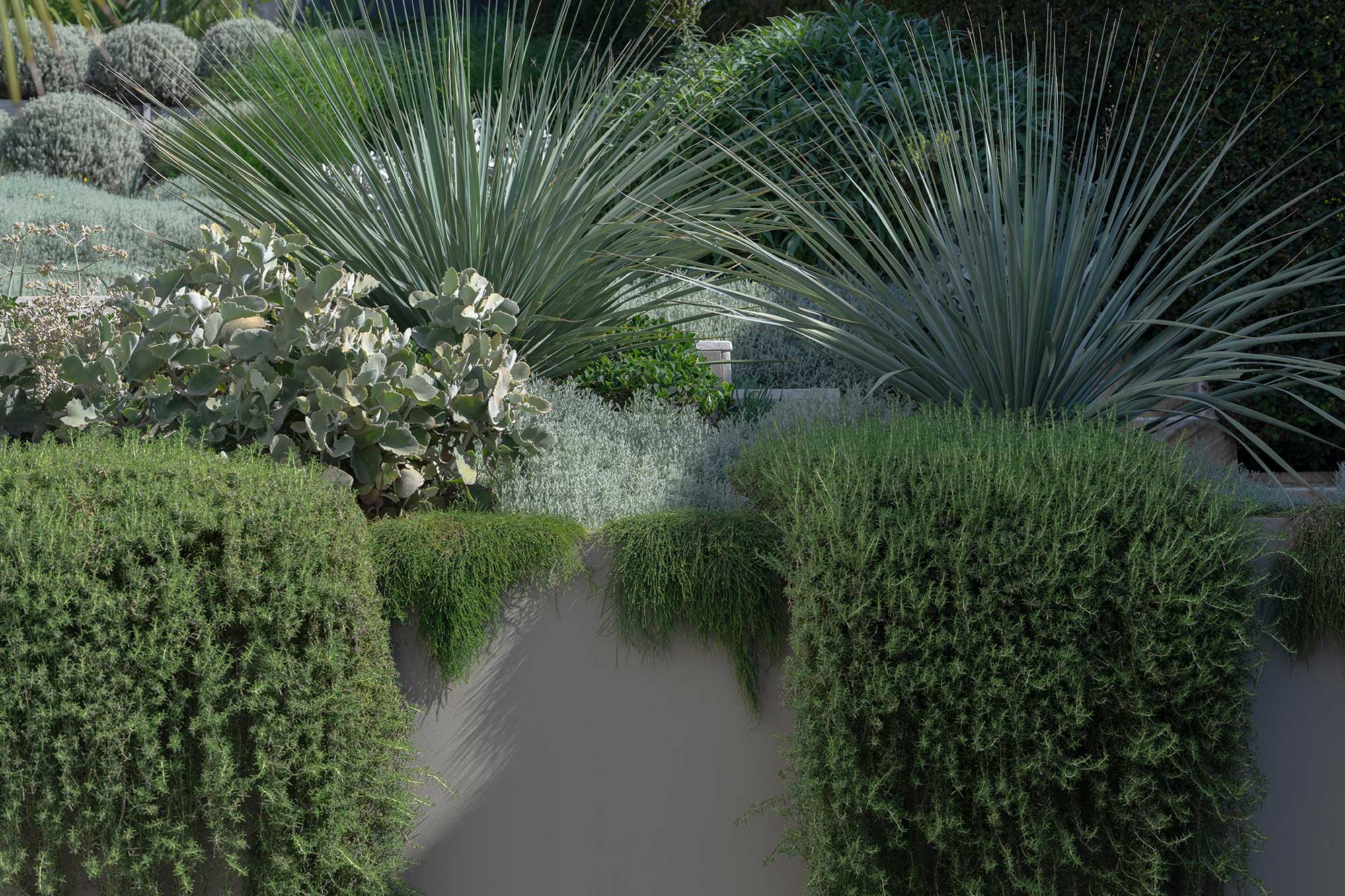 Landscape Design MANLY 20 11 2024 743