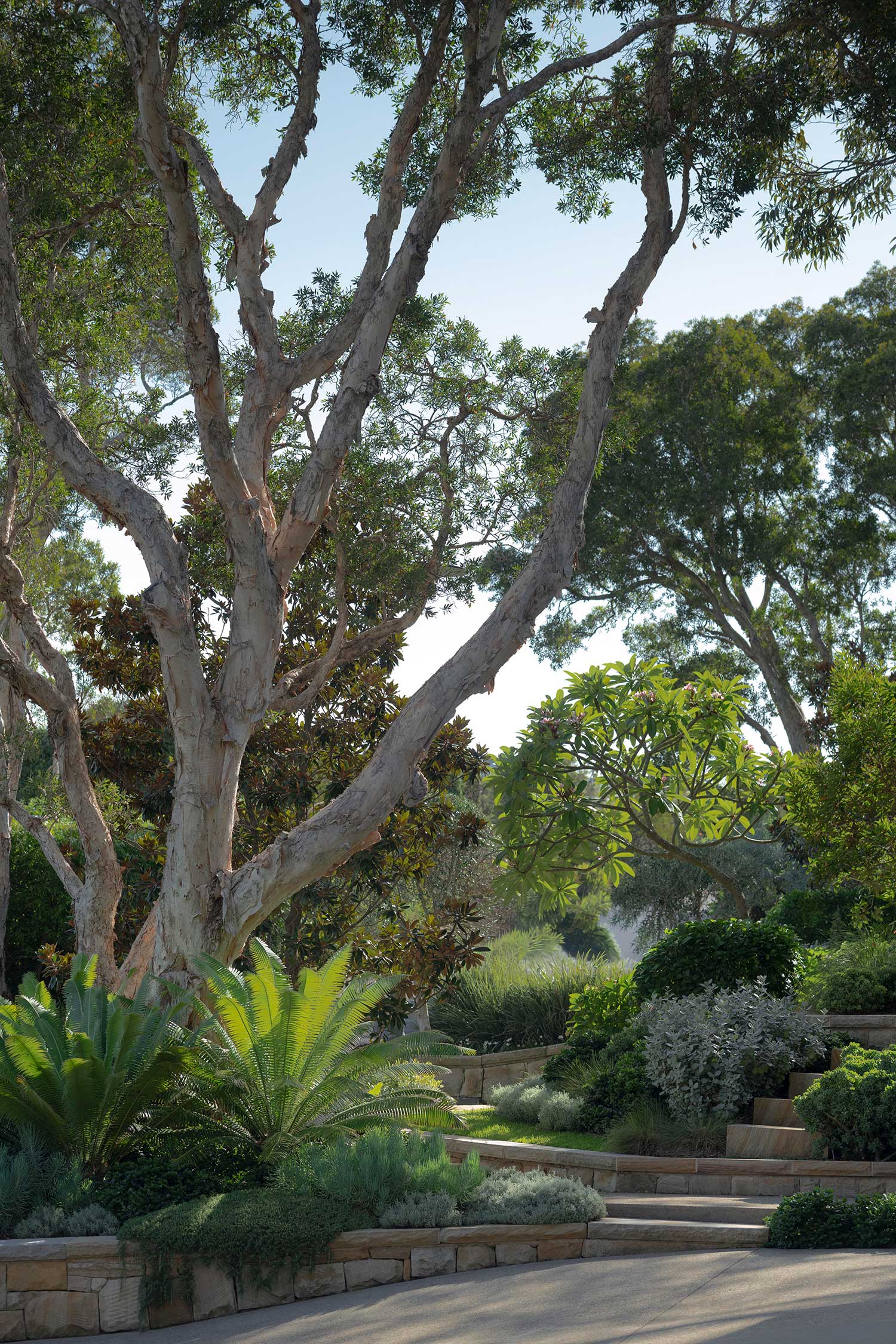 Landscape Design MANLY 30 01 2026 405