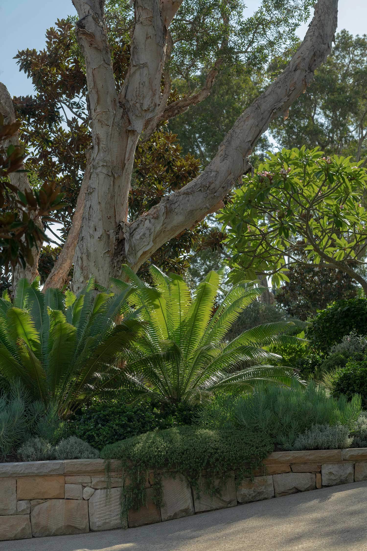 Landscape Design MANLY 30 01 2026 432
