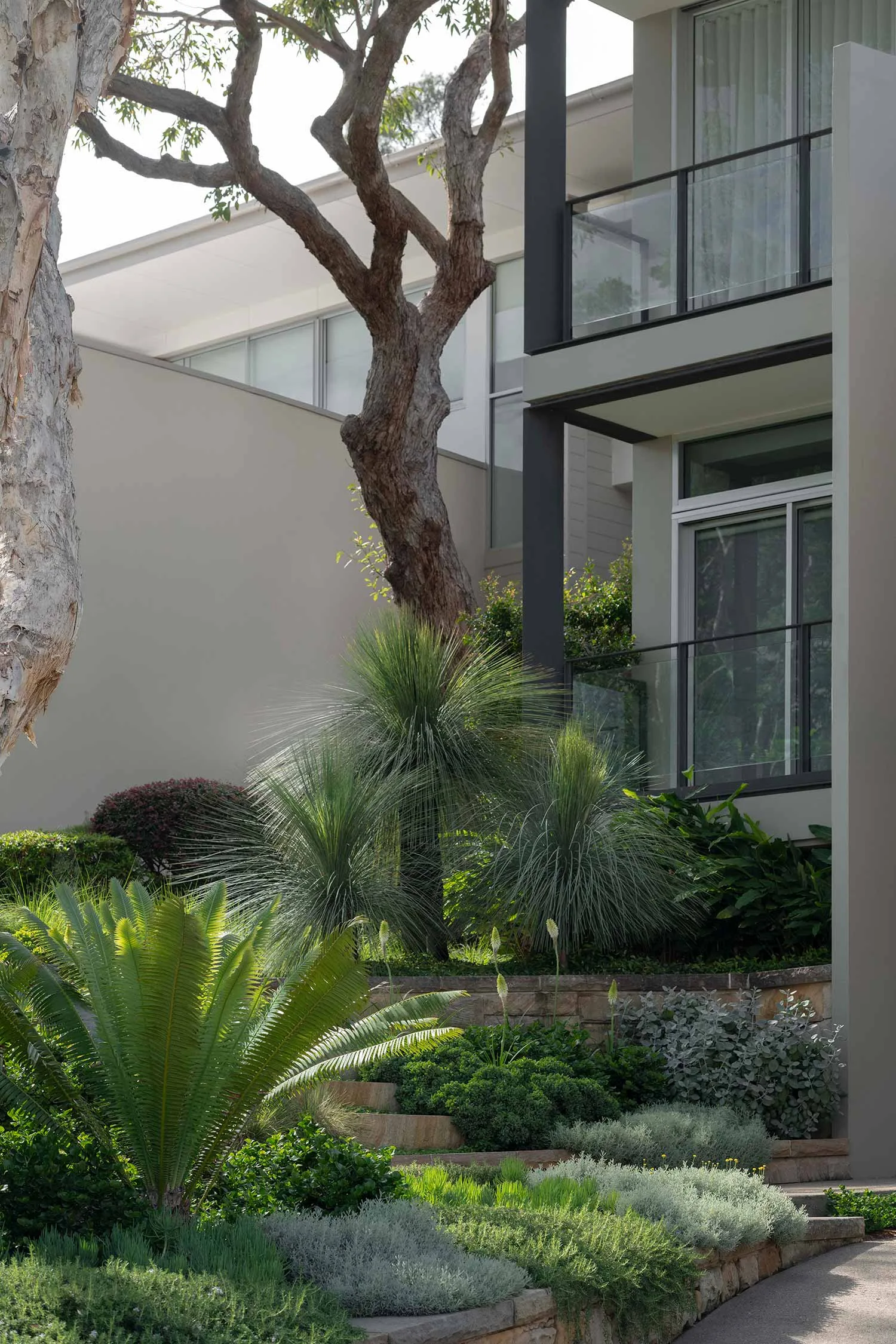 Landscape Architect & Landscape Designer Sydney | Secret Gardens 5 SG MANLY 20 11 2024 211