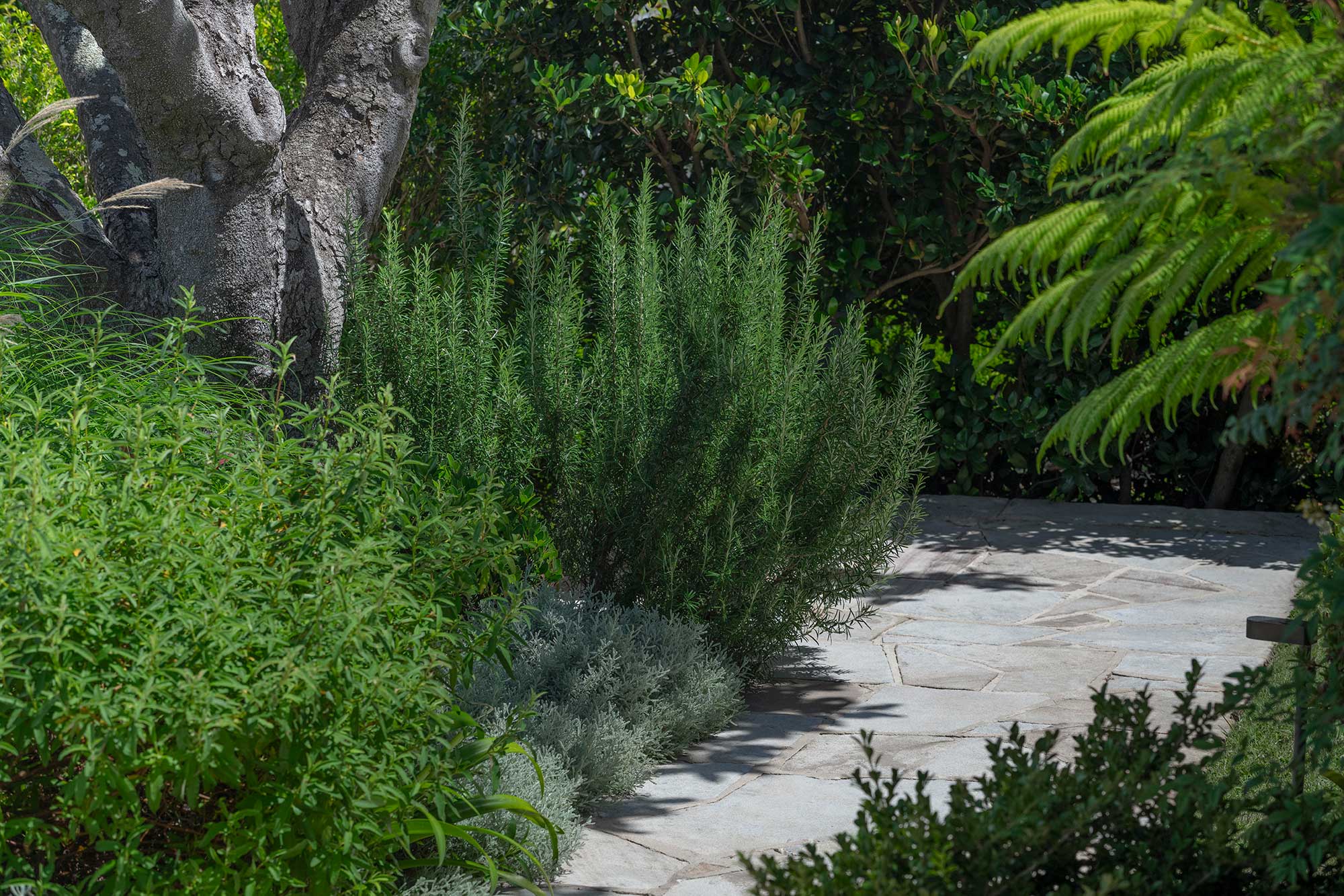 Landscape Architect GILLIVER 19 12 2024 502 1