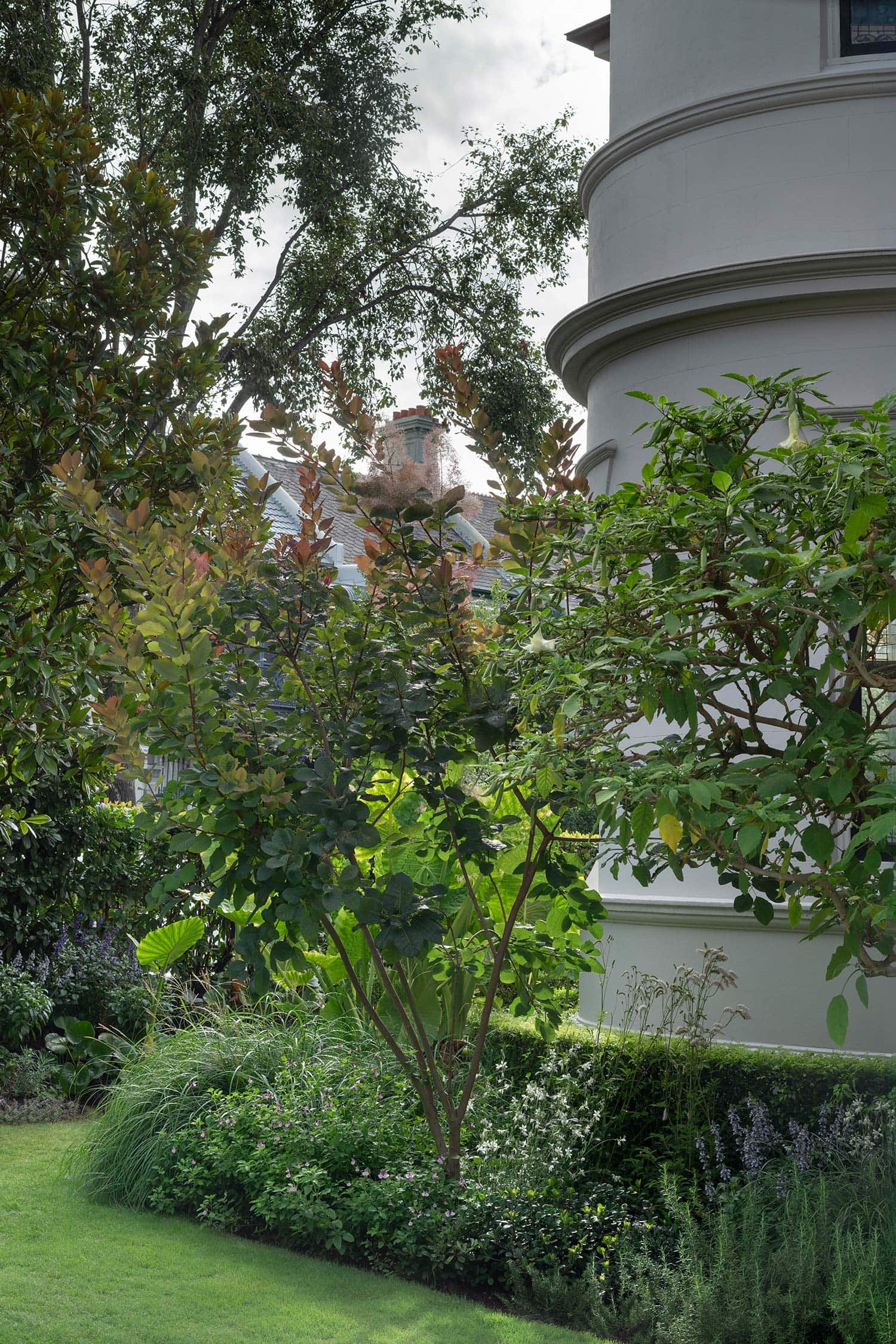 GARDEN DESIGN GLEBE POINT MANOR 20 01 2026 0119B