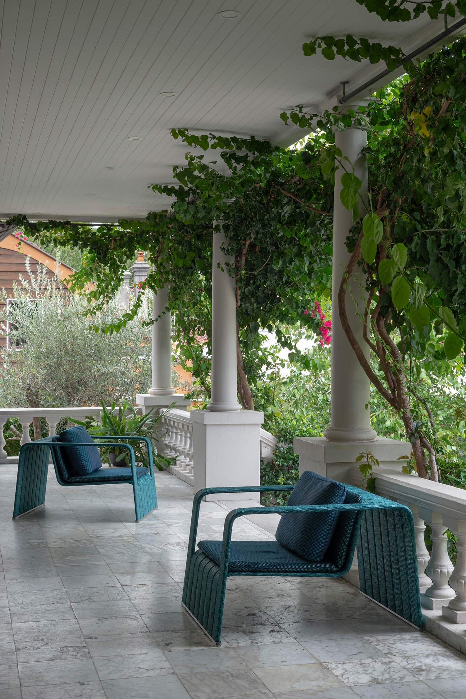 GARDEN DESIGN GLEBE POINT MANOR 20 01 2026 0588