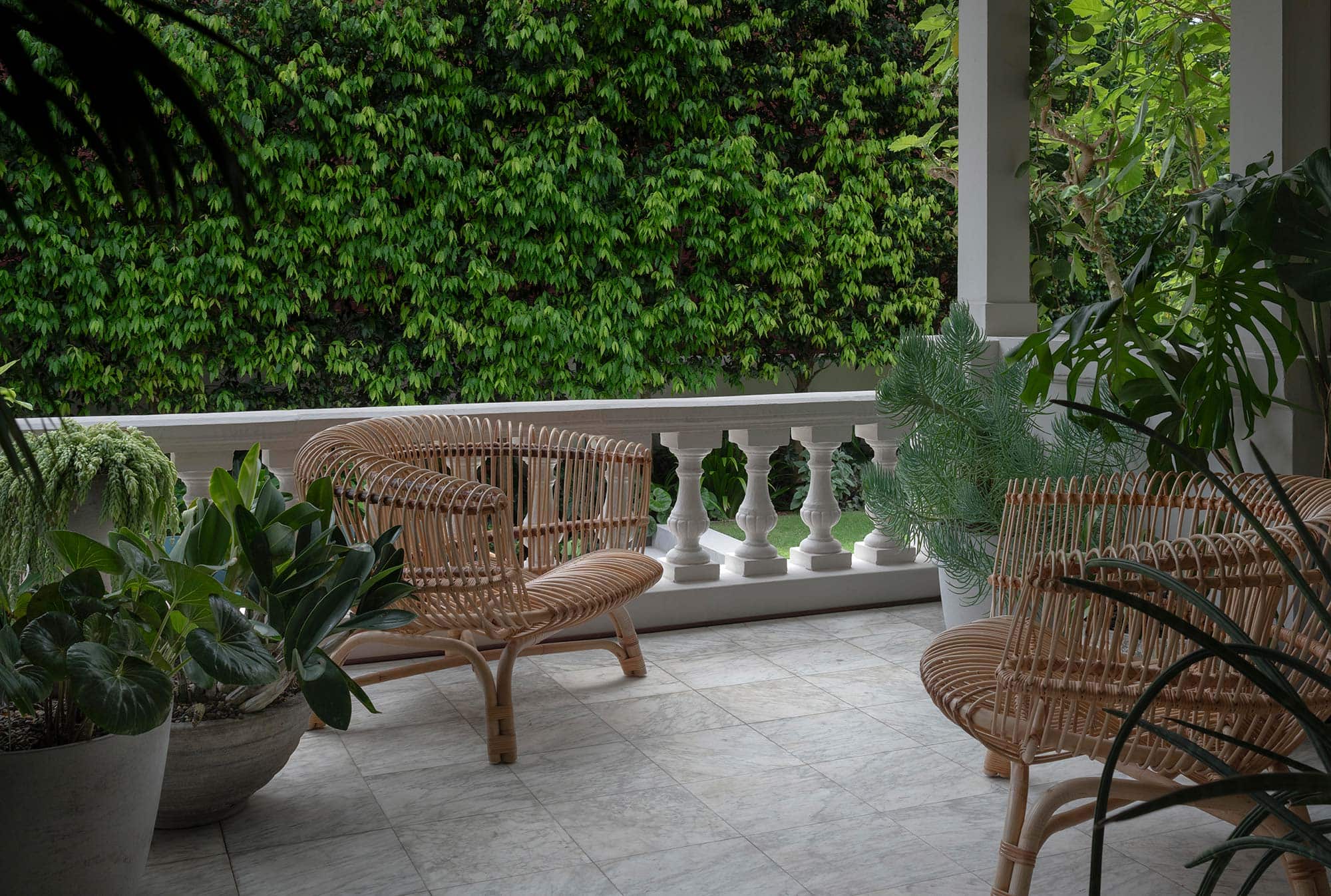 GARDEN DESIGN GLEBE POINT MANOR 20 01 2026 0684