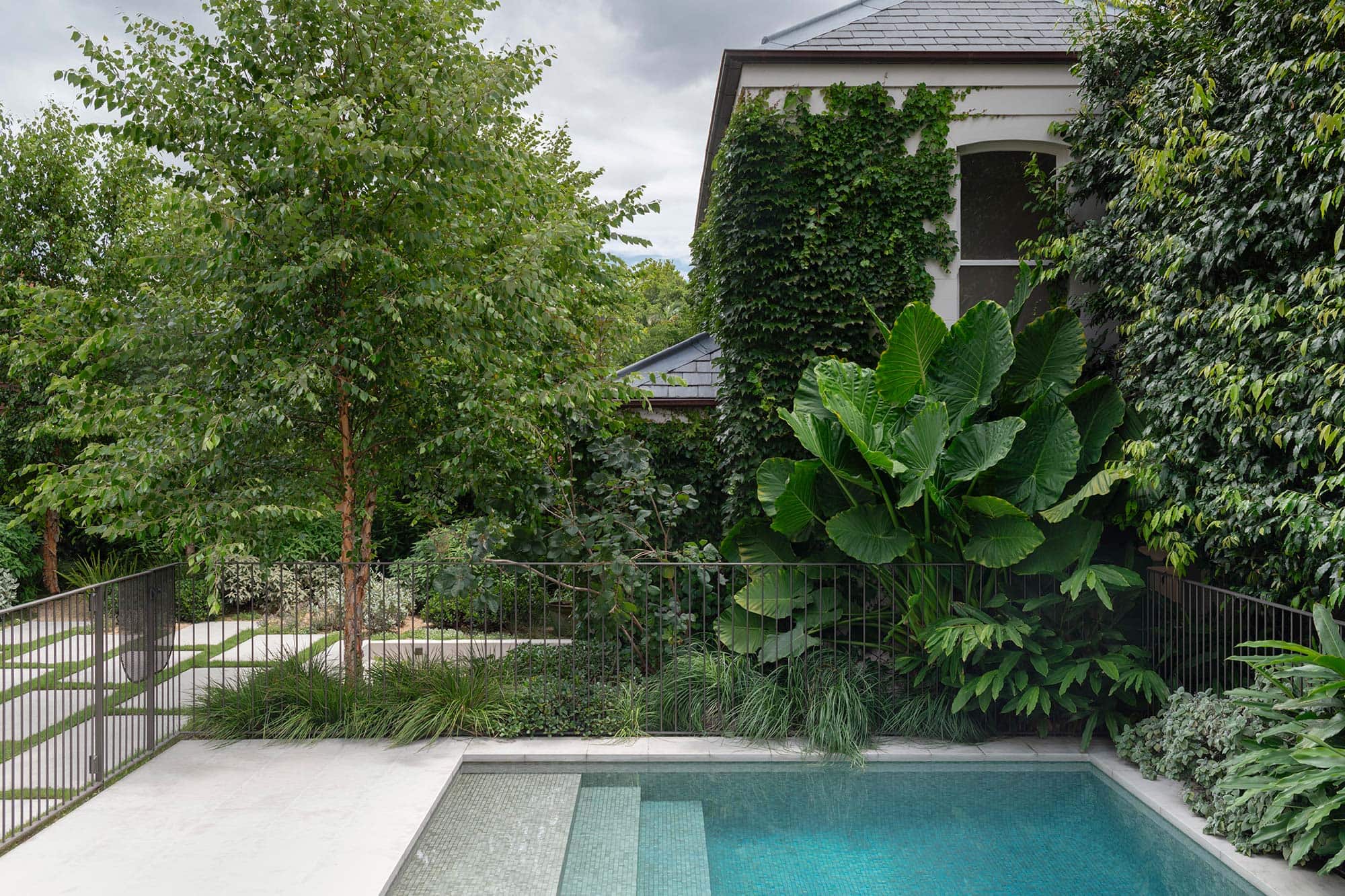 GARDEN DESIGN GLEBE POINT MANOR 20 01 2026 0774