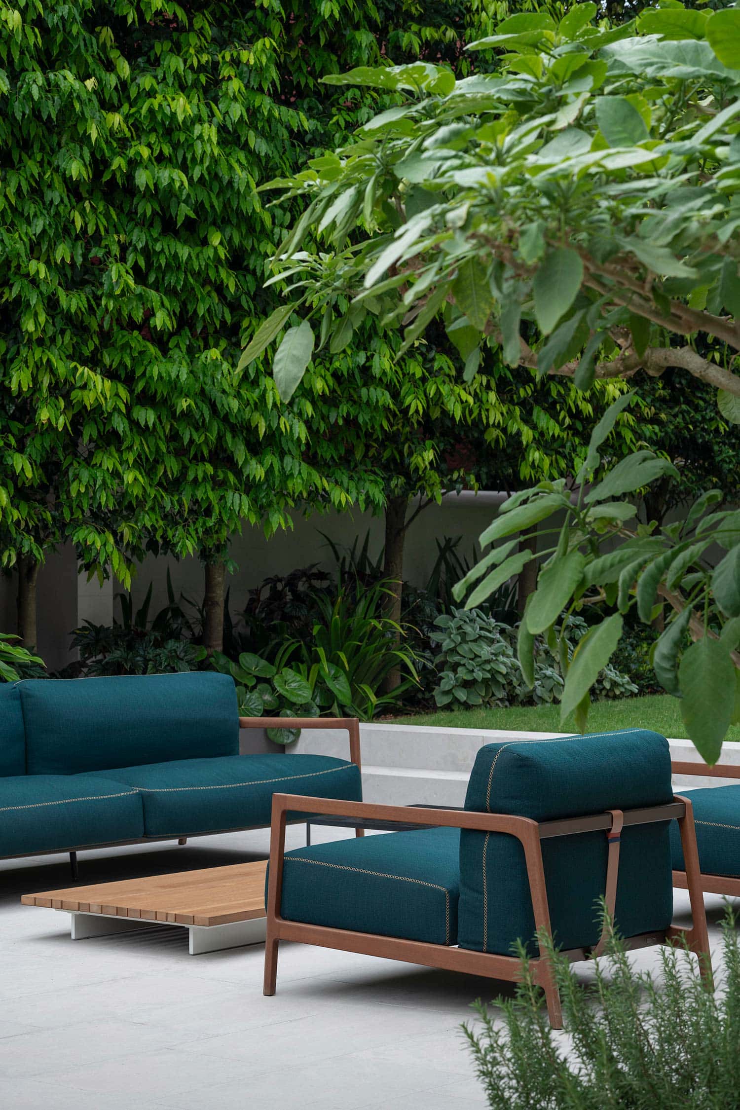 GARDEN DESIGN GLEBE POINT MANOR 20 01 2026 0968