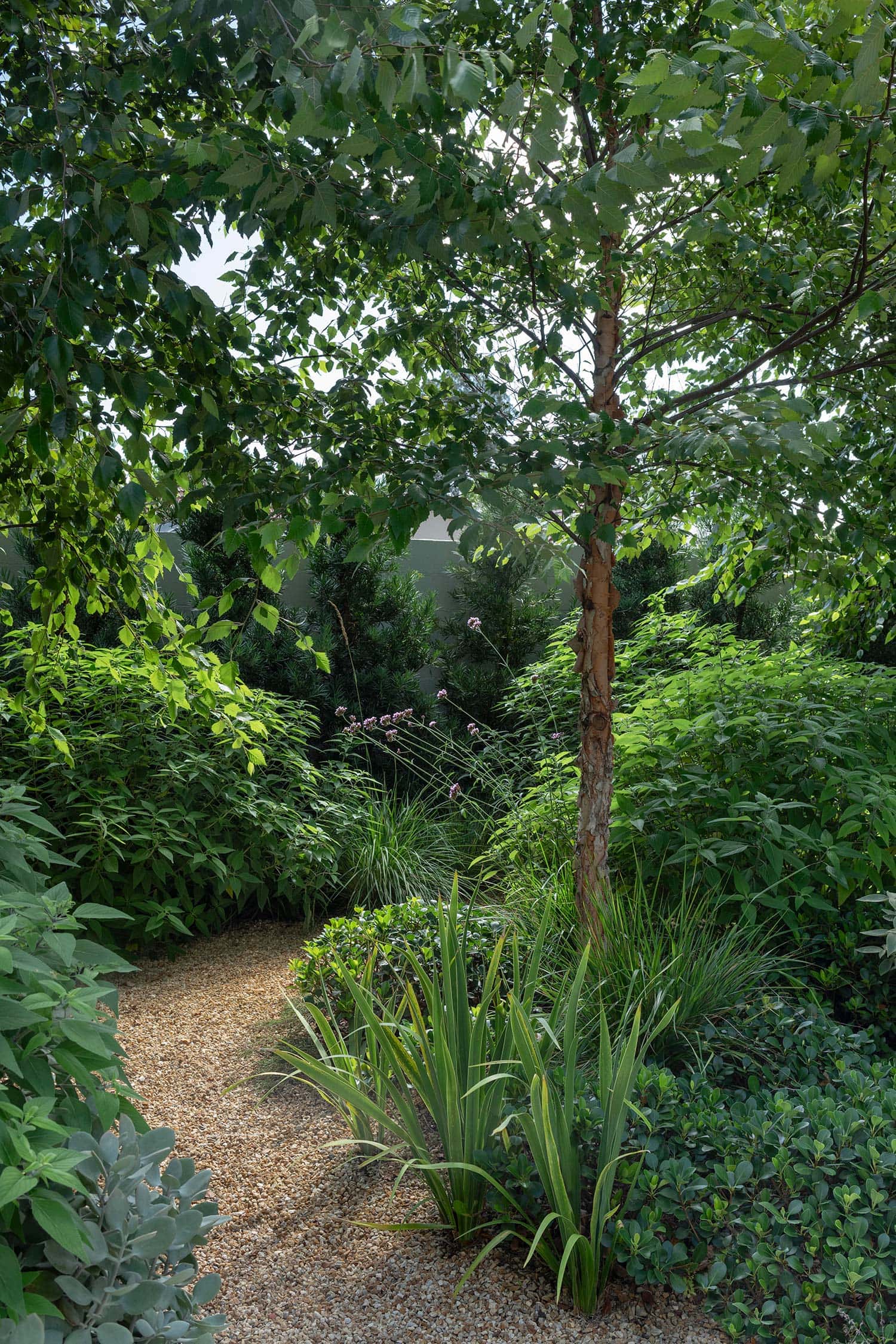 GARDEN DESIGN GLEBE POINT MANOR 20 01 2026 1210