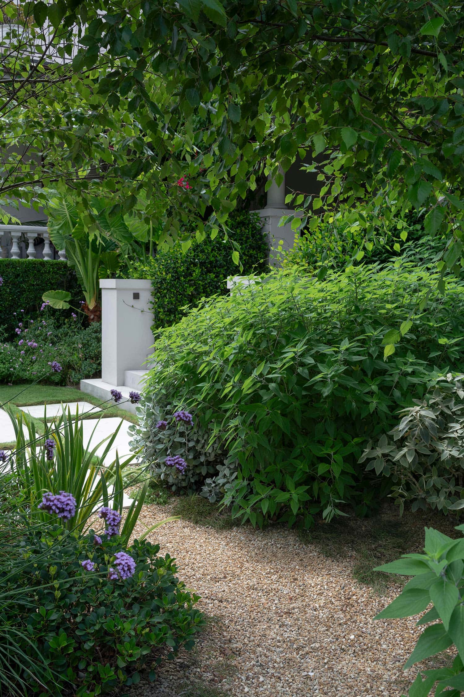 GARDEN DESIGN GLEBE POINT MANOR 30 01 2026 283