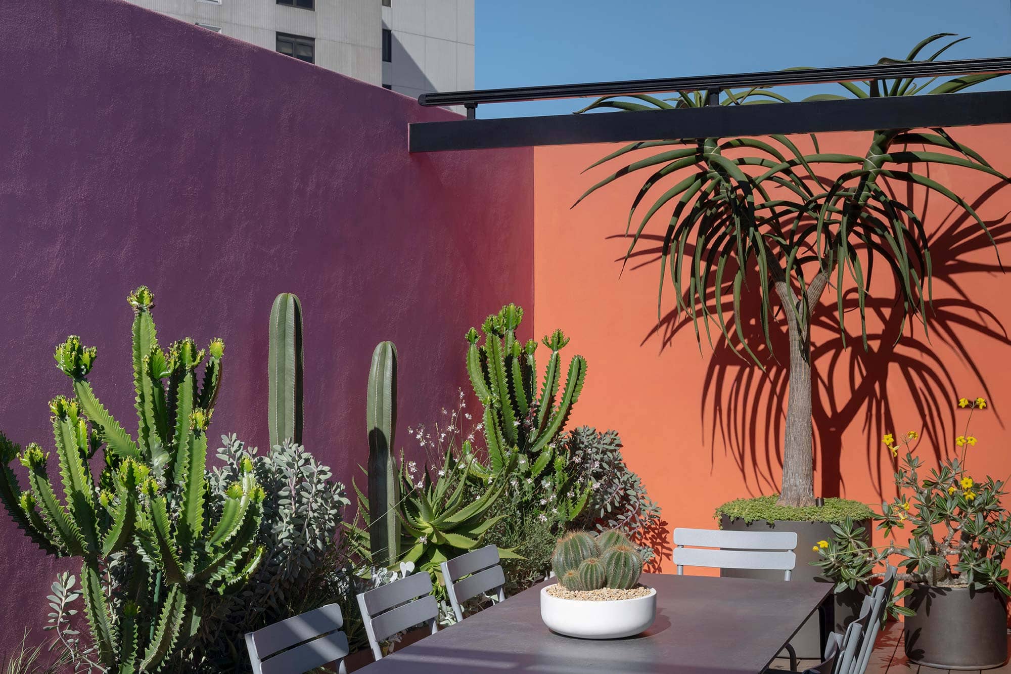 LANDSCAPE DESIGN ODE TO LUIS 2025 197