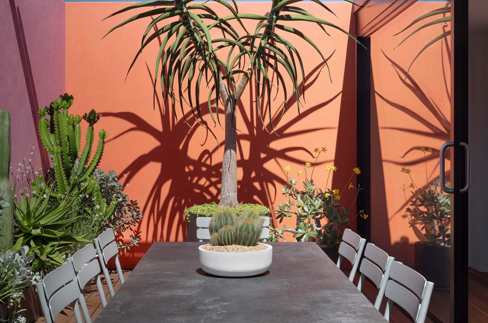 LANDSCAPE DESIGN ODE TO LUIS 2025 451B