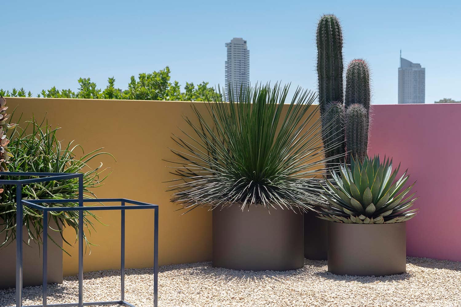 LANDSCAPE DESIGN ODE TO LUIS 2025 664