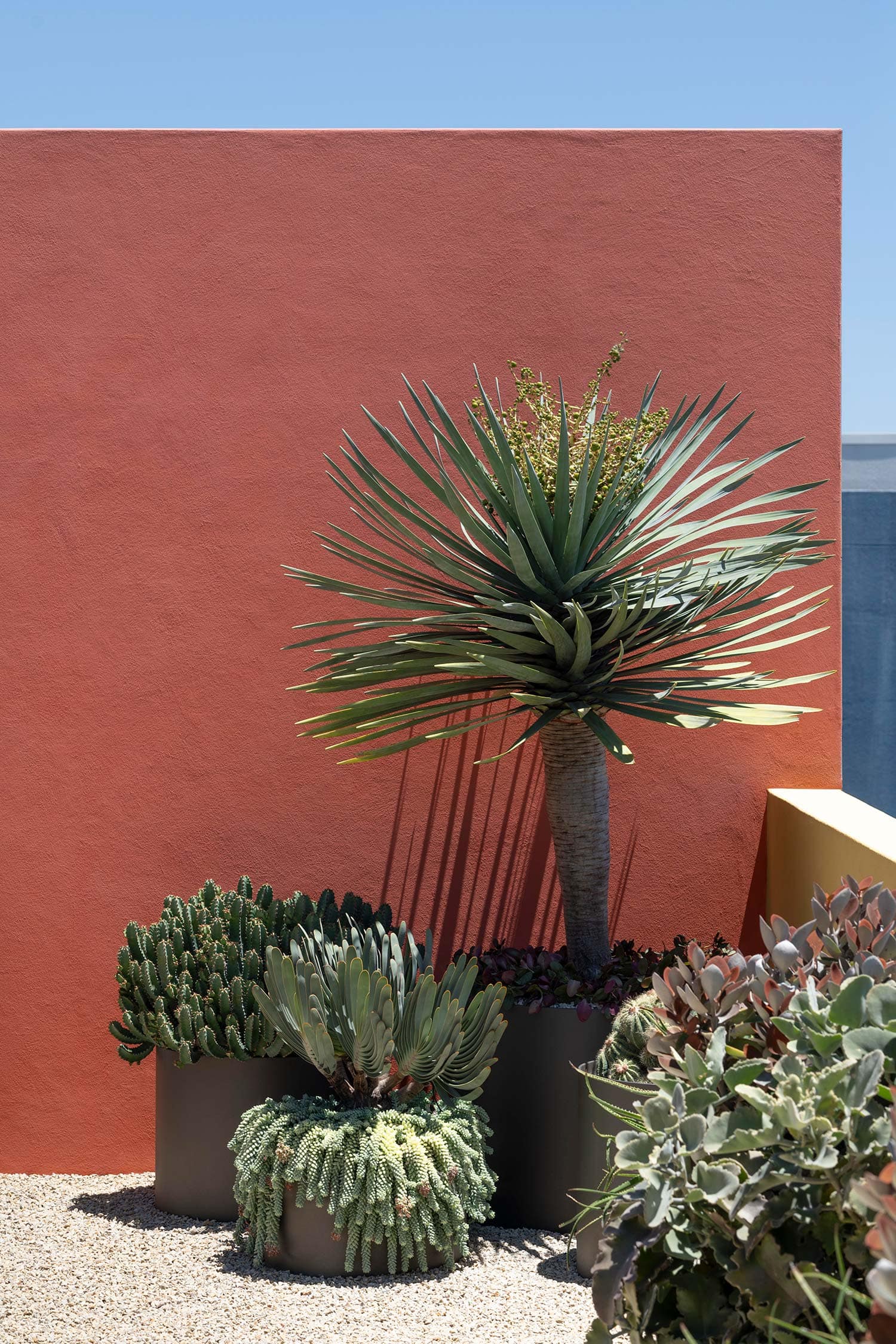 LANDSCAPE DESIGN ODE TO LUIS 2025 747