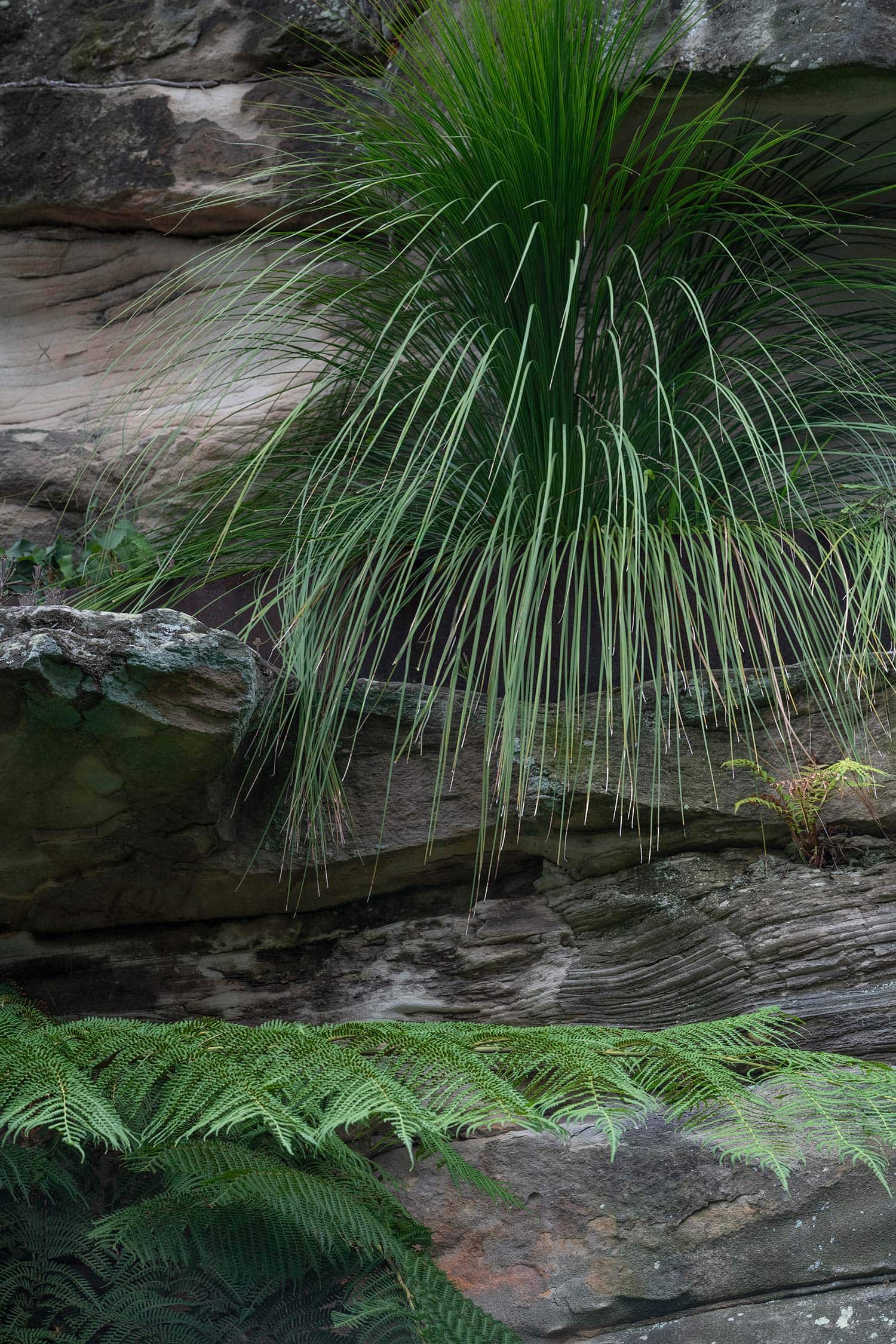 LANDSCAPE DESIGN Quarry