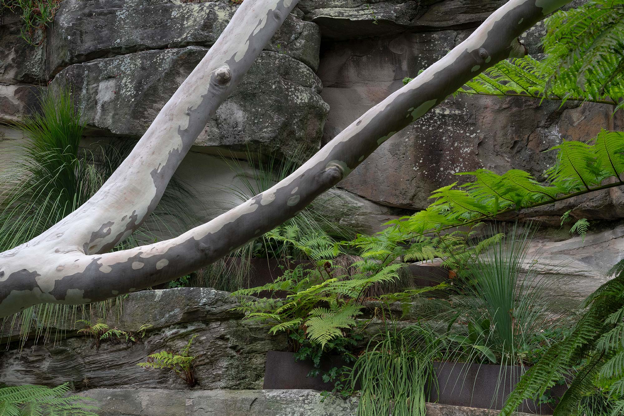 LANDSCAPE DESIGN Quarry