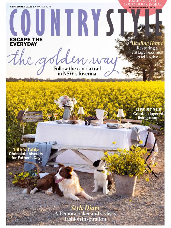 AC2509p001_ACS0925 MKTG COVER_v0.8