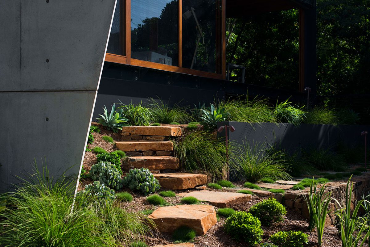 Garden_steps_001