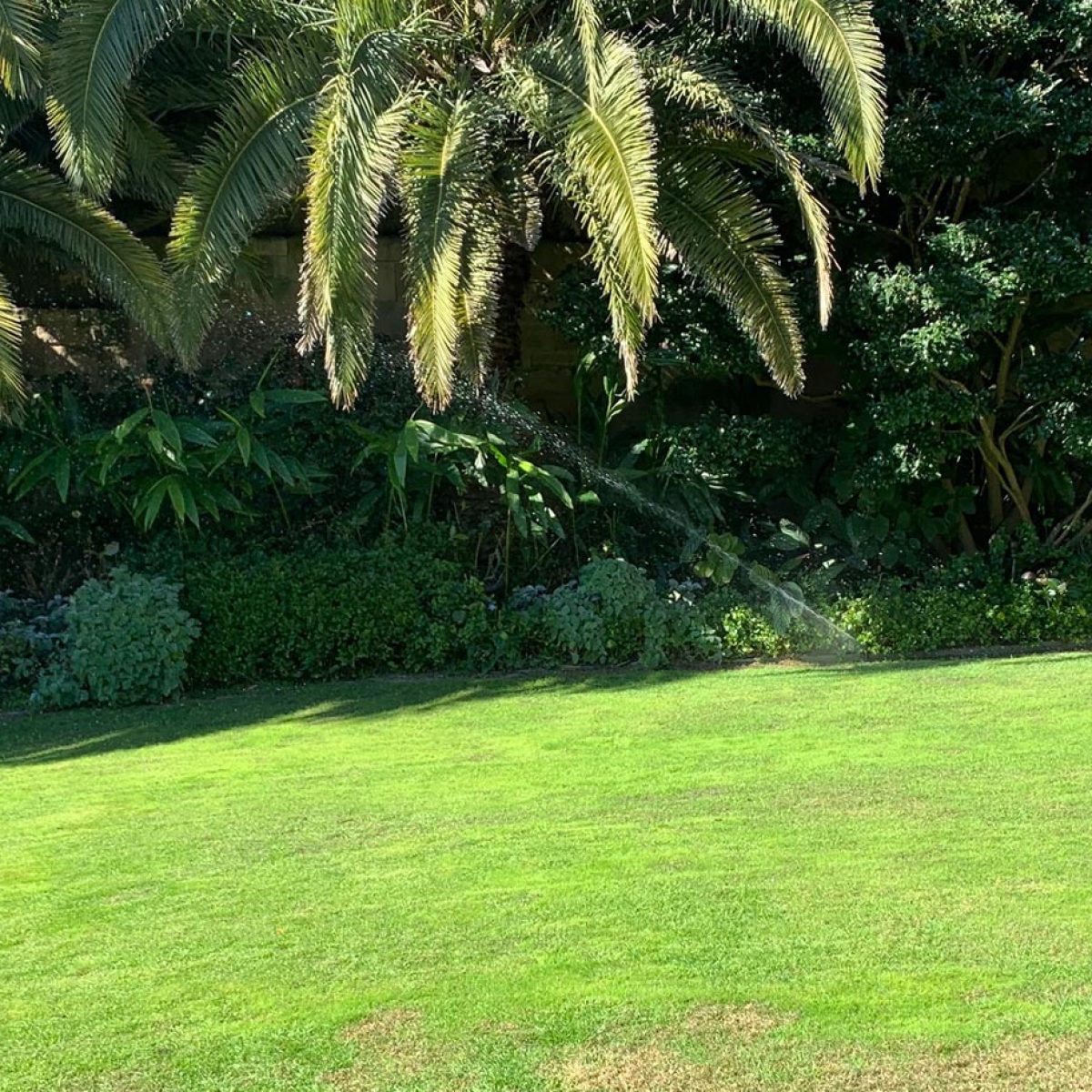SG-Irrigation_005